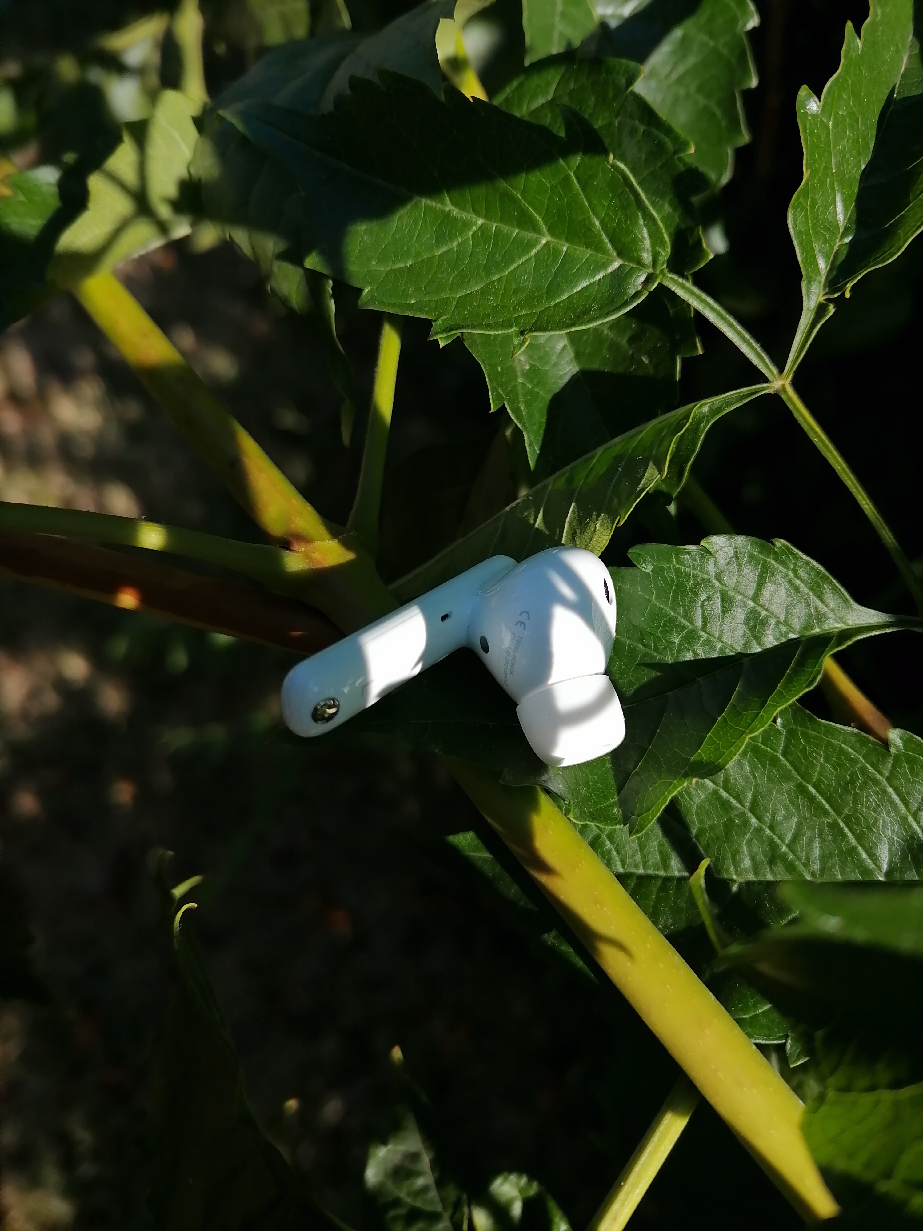 pBonjour-nbspppbrppJe-vous-partage-quelques-photos-des-HONOR-Earbuds-2