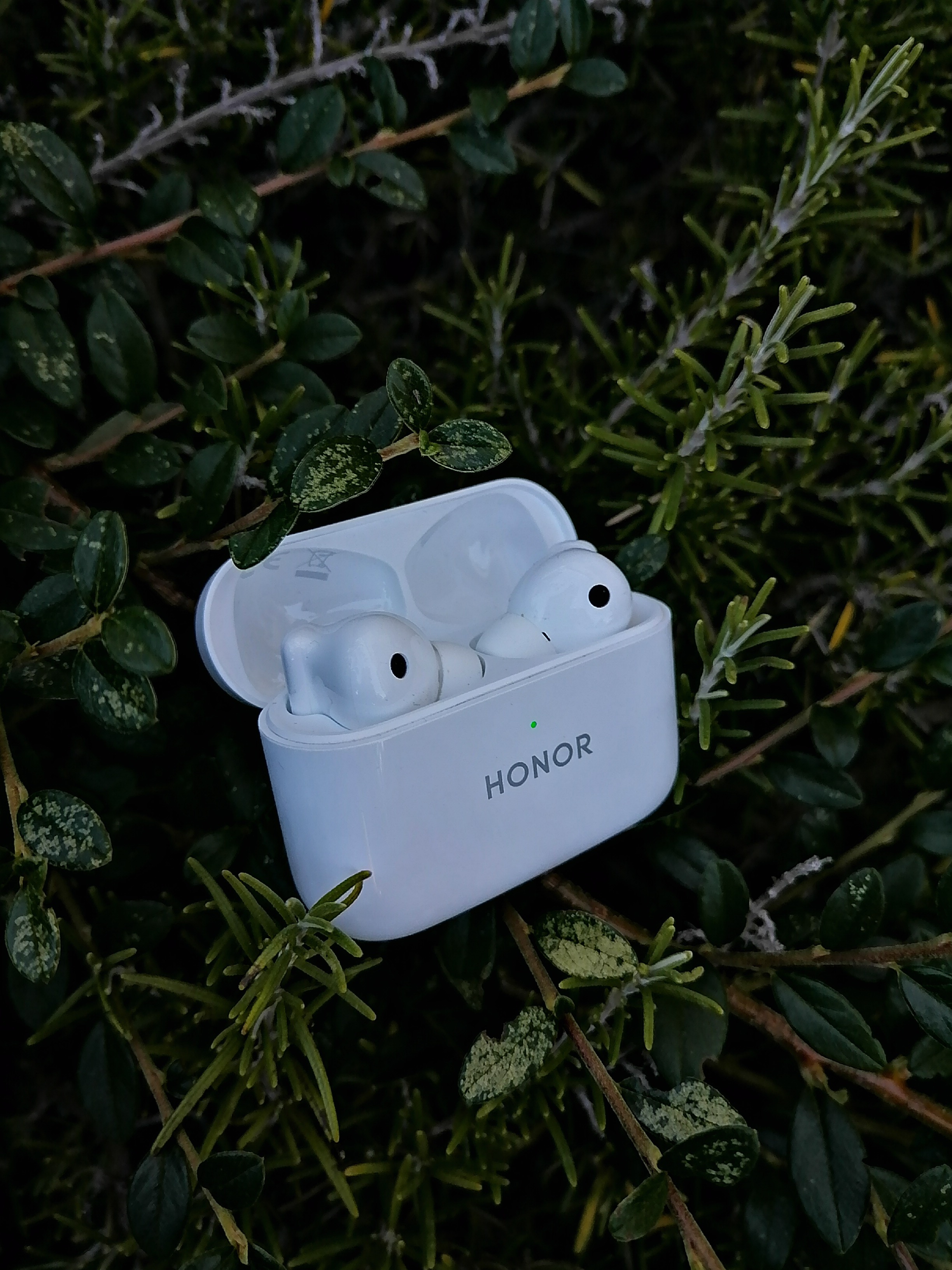 pBonjour-nbspppbrppJe-vous-partage-quelques-photos-des-HONOR-Earbuds-2