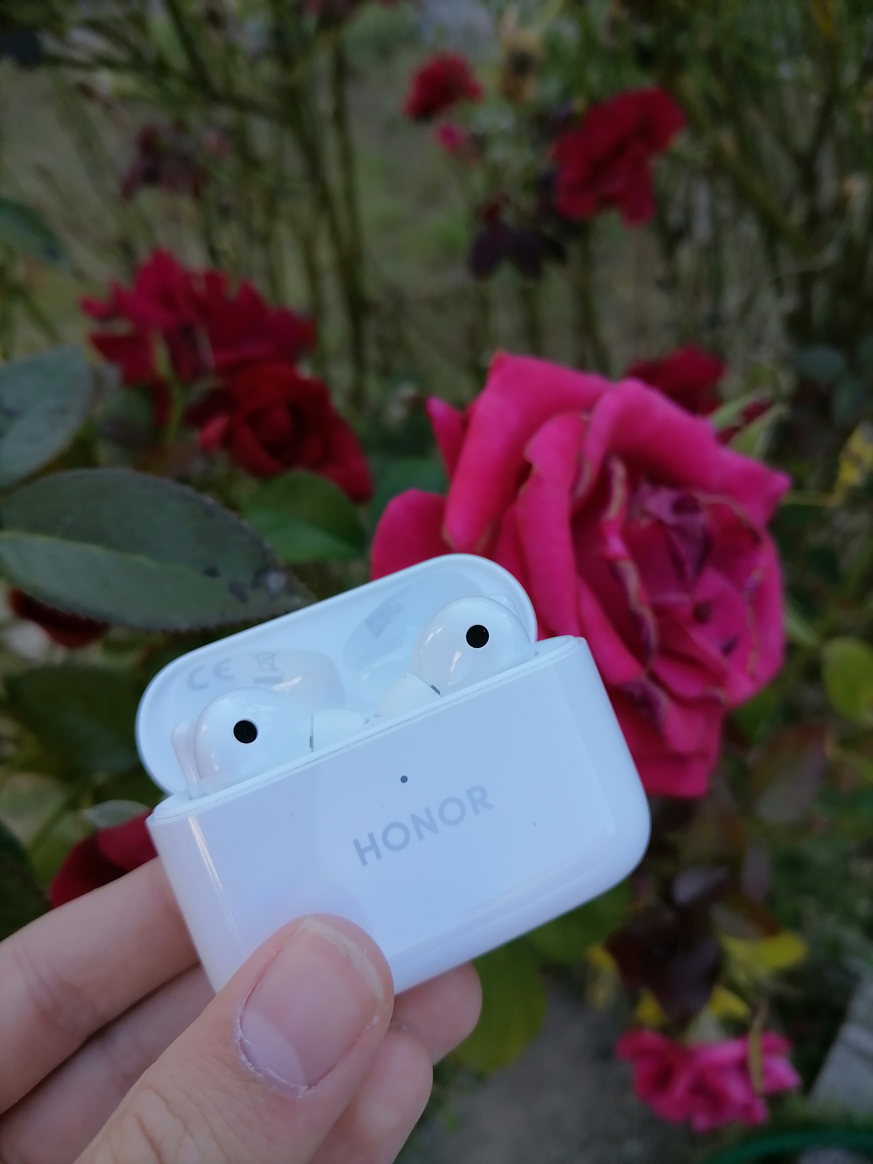 pBonjour-nbspppbrppJe-vous-partage-quelques-photos-des-HONOR-Earbuds-2