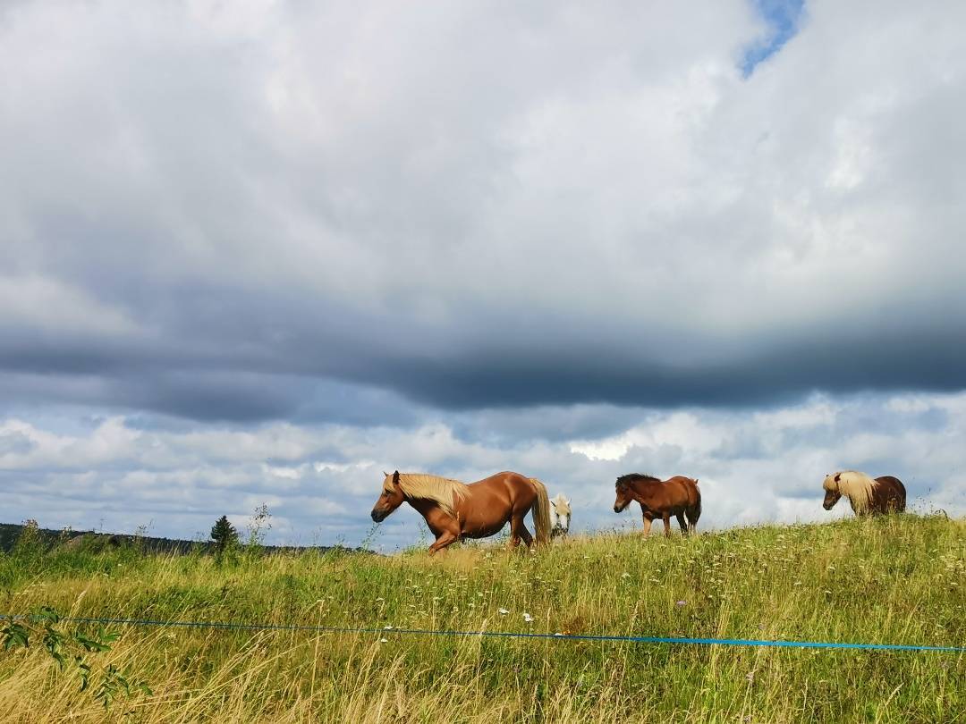 pChers-fansppbrppLa-semaine-dernière-vous-nous-avez-régalé-de-superbes