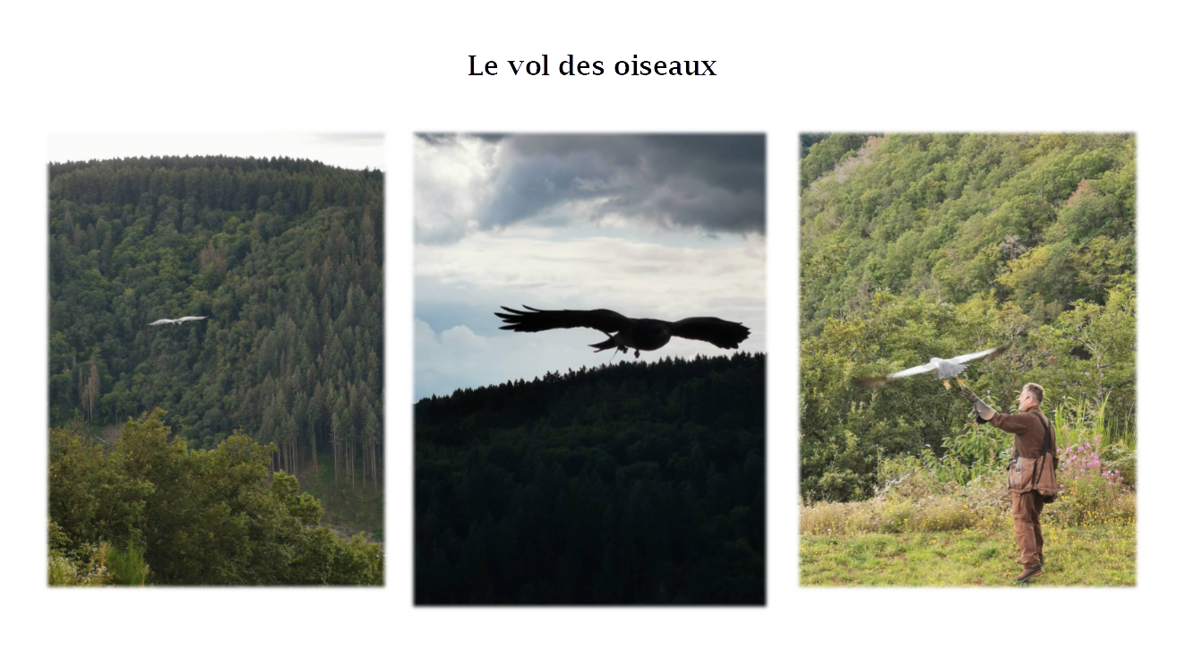 pspanstrongBonsoir-ànbsptousnbspchers