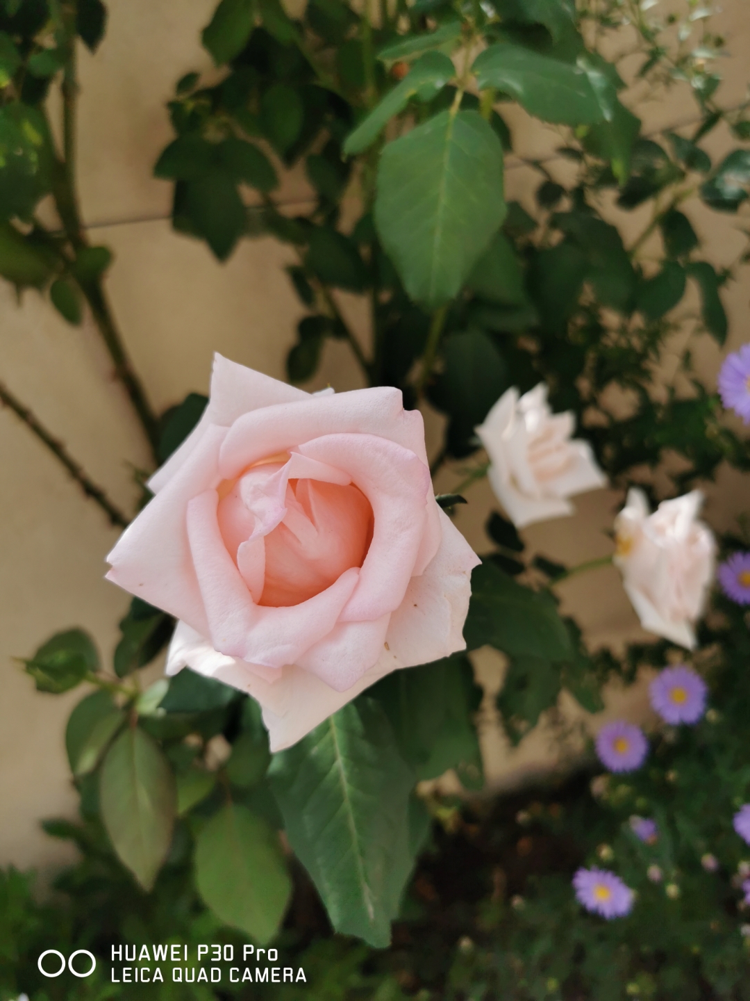 pimg-srchttpsiforum-dechihonorcomfrdataimages202192545910753-2ccb-484e