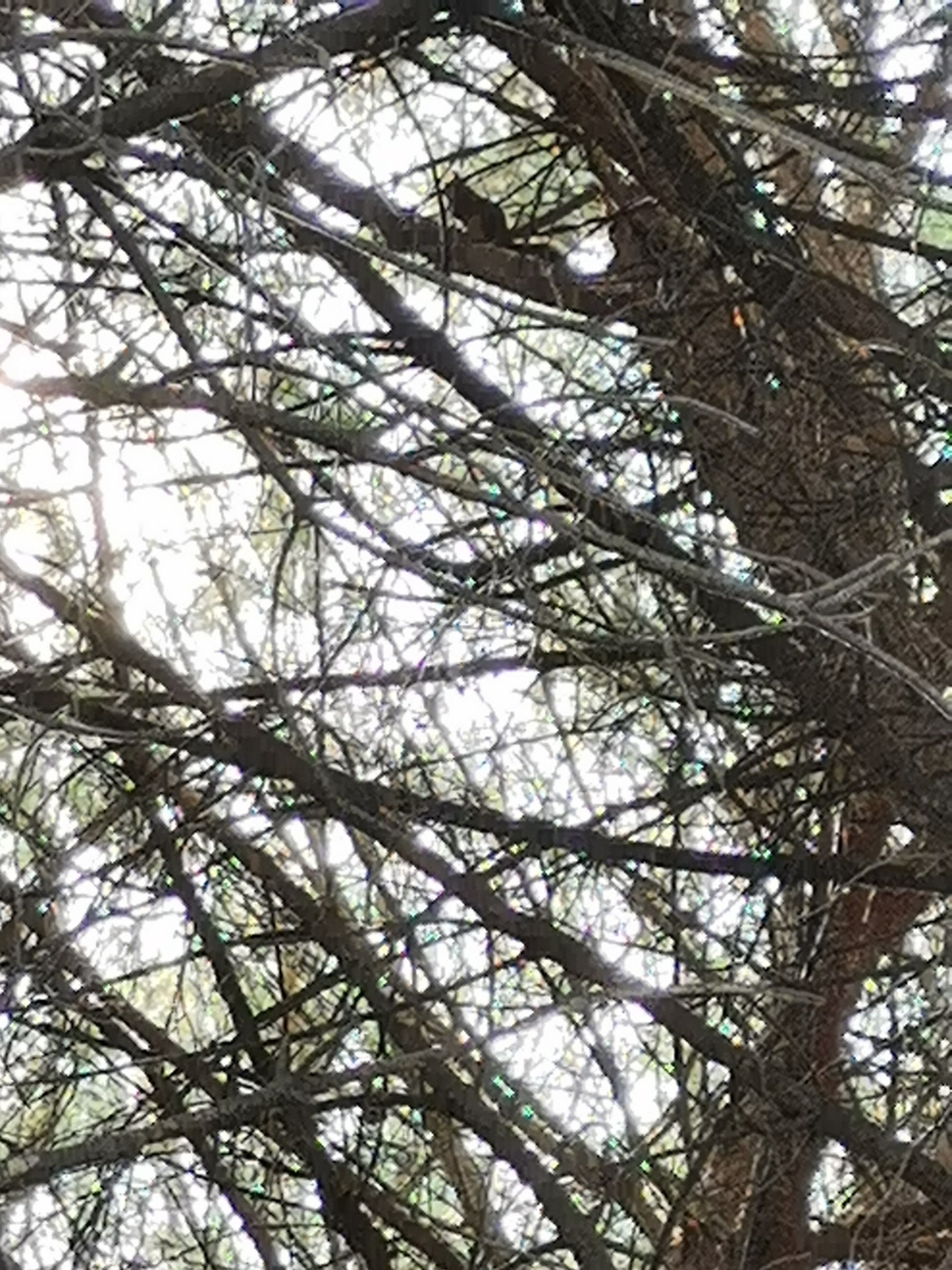 pimg-srchttpsiforum-dechihonorcomfrdataimages2021930c6a60d42-15b8-4bda