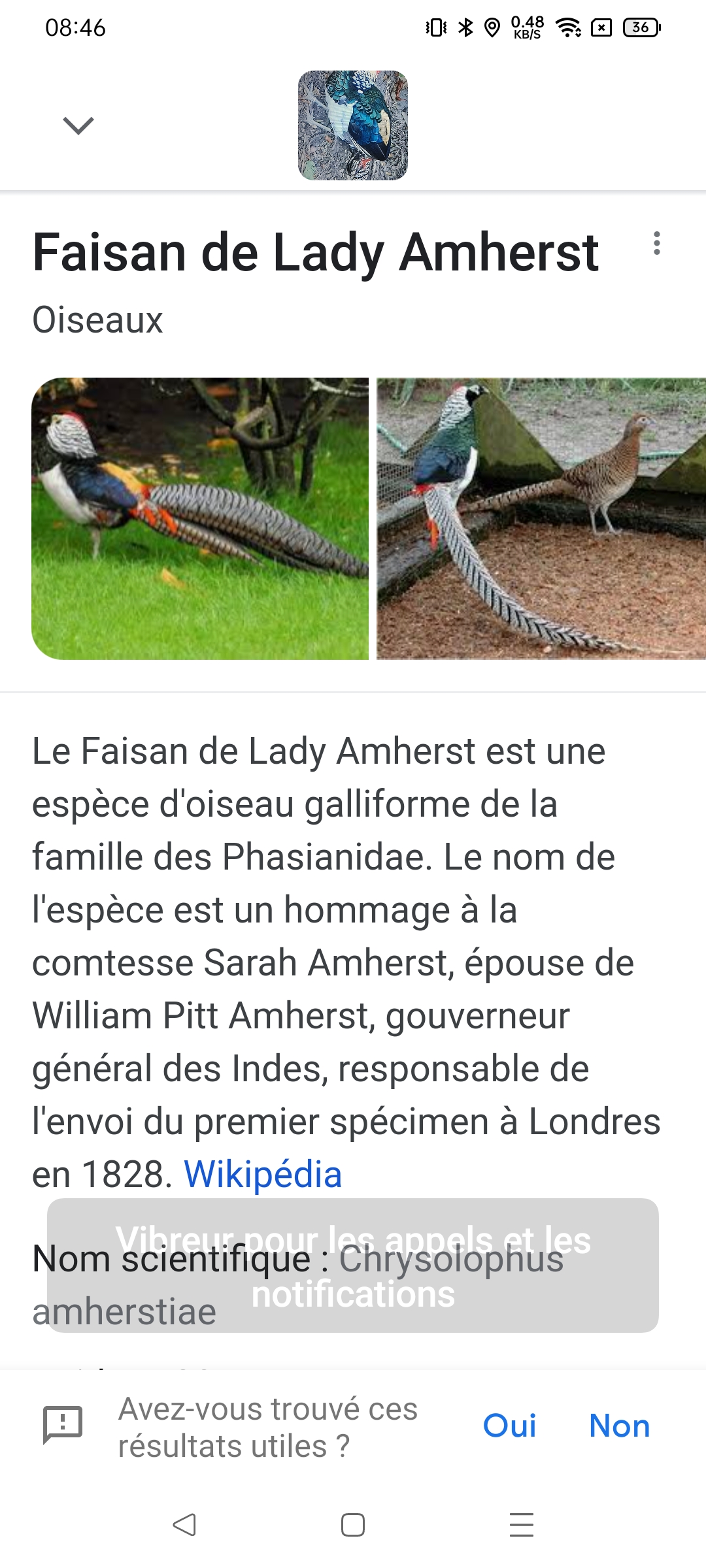 pimg-srchttpsiforum-dechihonorcomfrdataimages20219683c9fe3d-e04f-4b6d