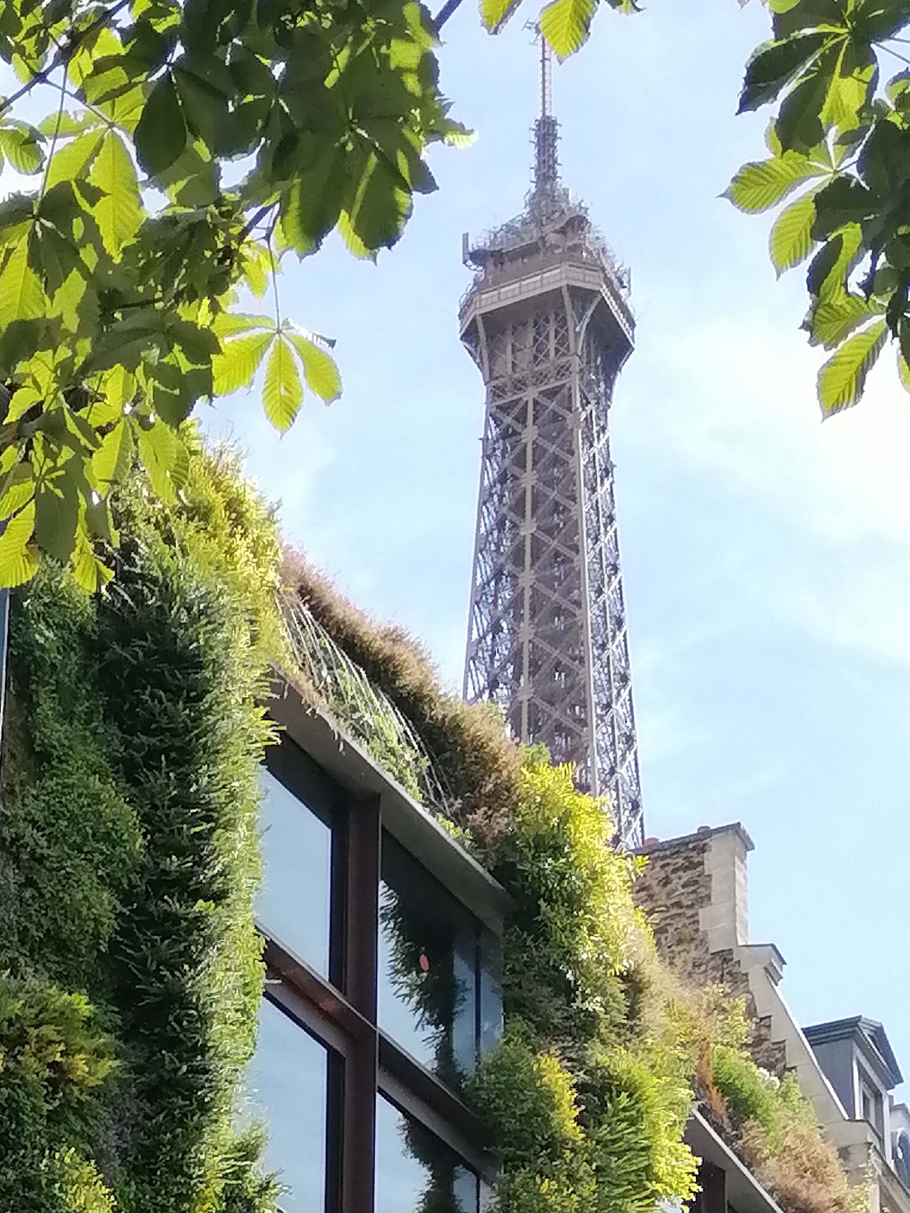 pspan-stylefont-size16pxstrongspanSous-la-bienveillance-et-la