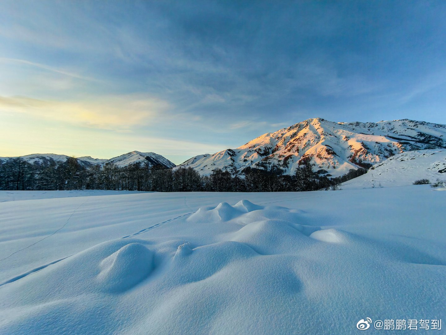 pBonjourppbrppbrppLe-Honor-Magic-v-a-été-la-vedette-hier-lors-de-la