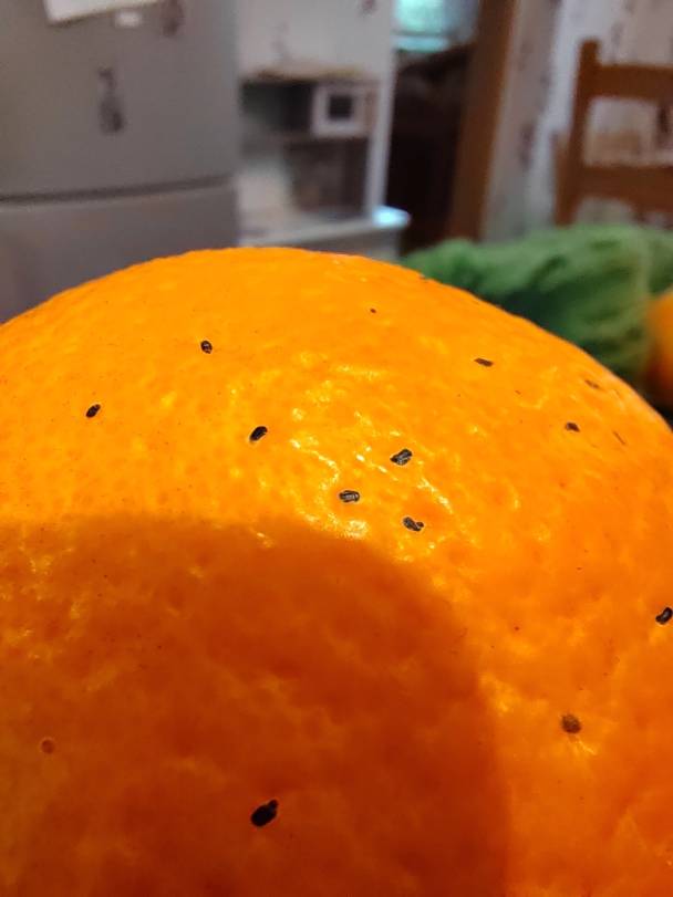 pspan-stylefont-size18pxspanBonjour-à-tous-les-Fans