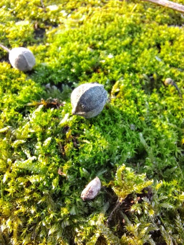 pspan-stylefont-size18pxspanBonjour-à-tous-les-Fans