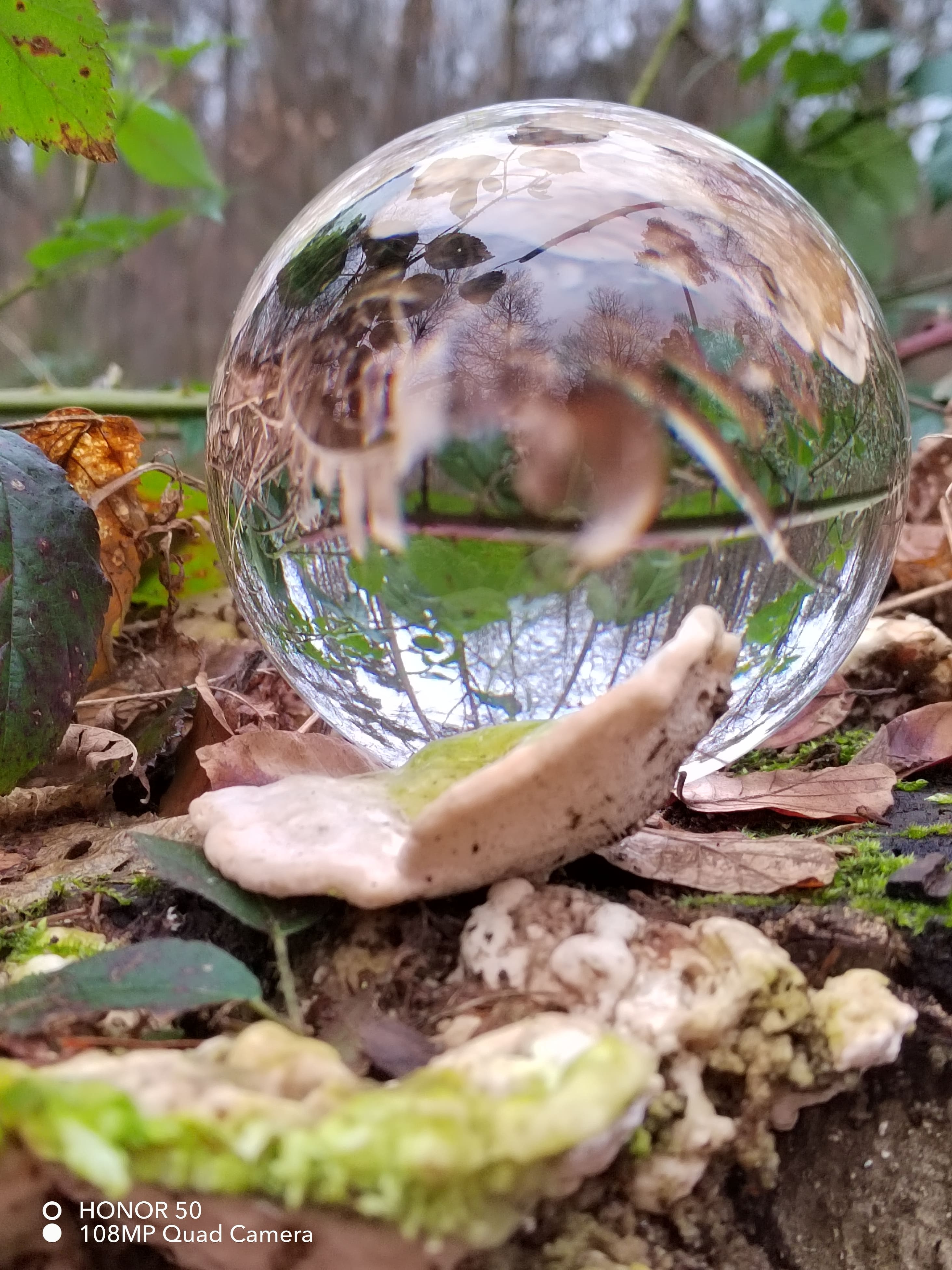 pspan-stylefont-size18pxspanBonjour-à-tous-les-Fans