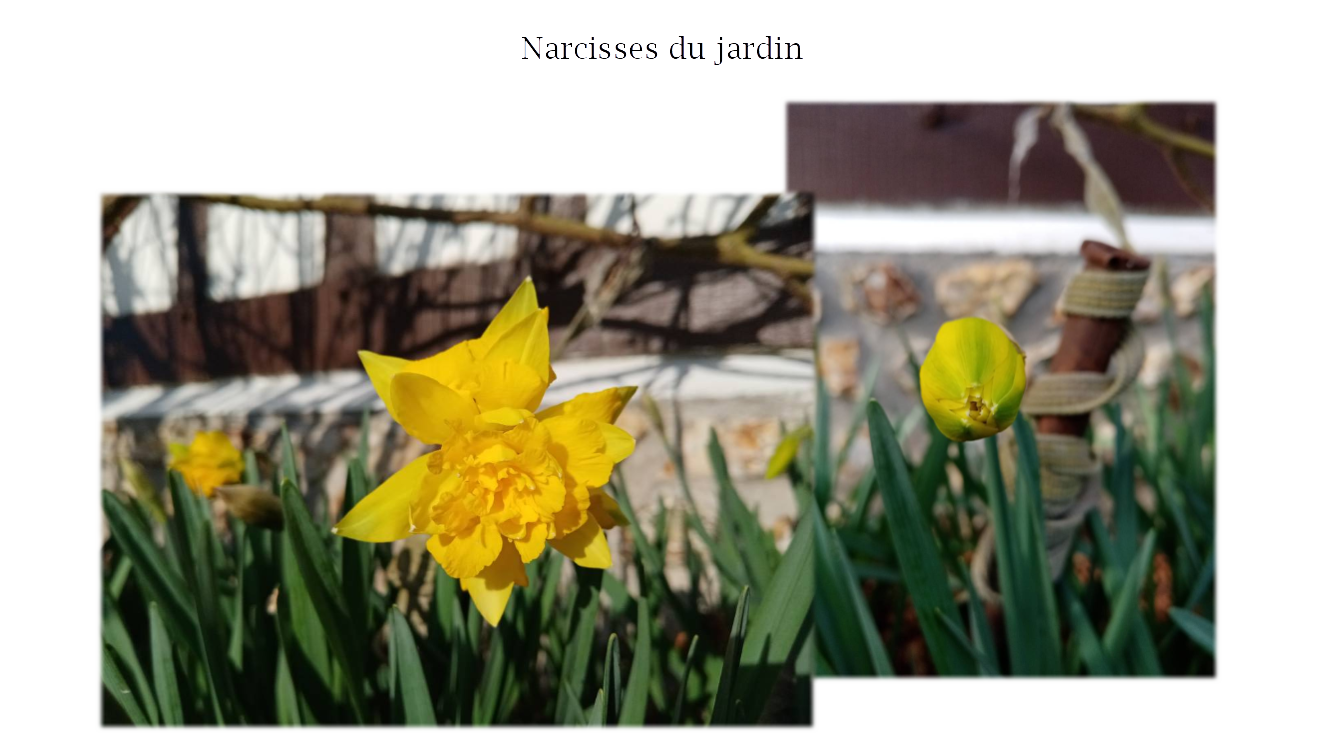 p-styletext-align-centerspan-styleletter-spacing