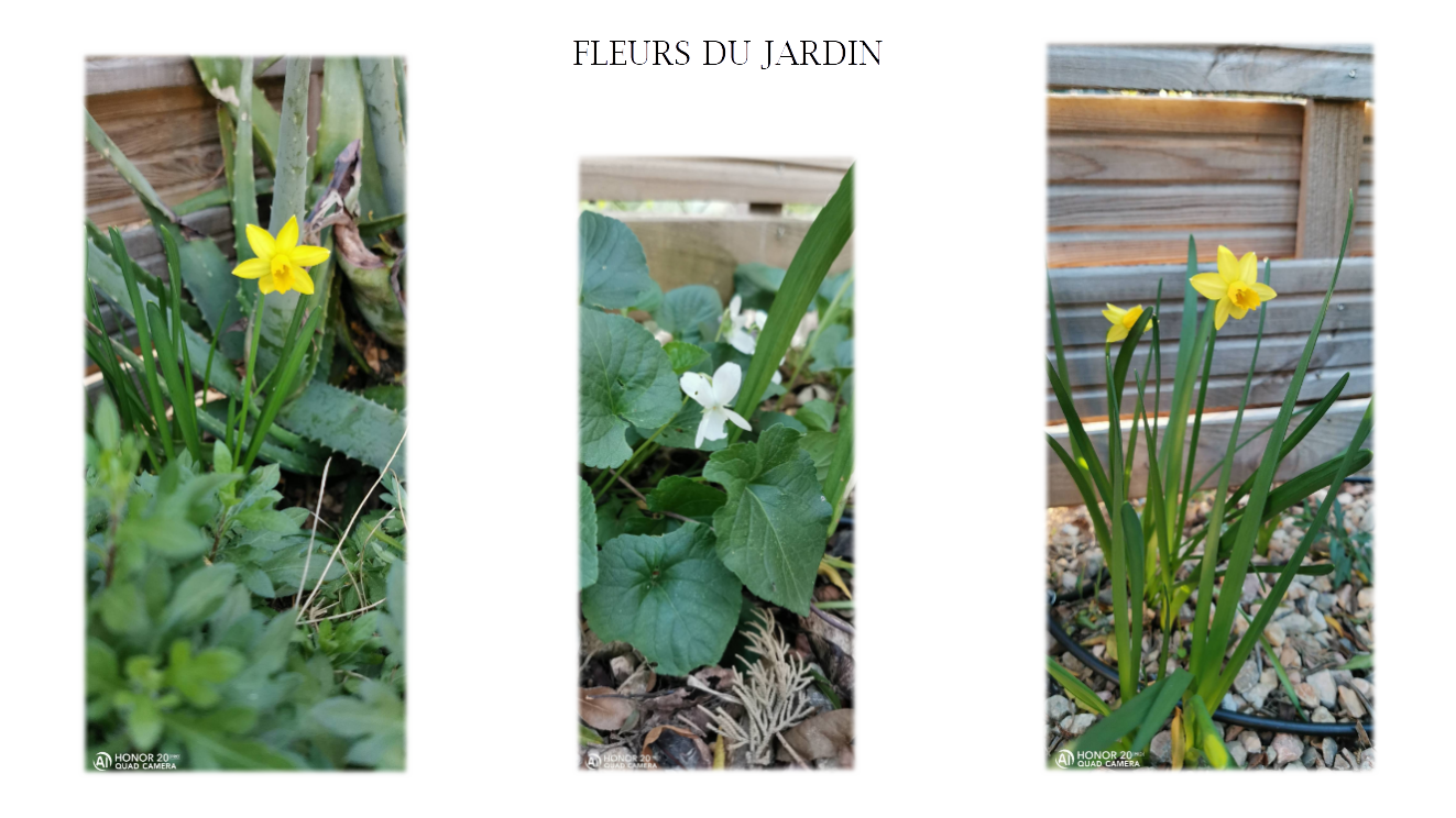 p-styletext-align-centerspan-styleletter-spacing