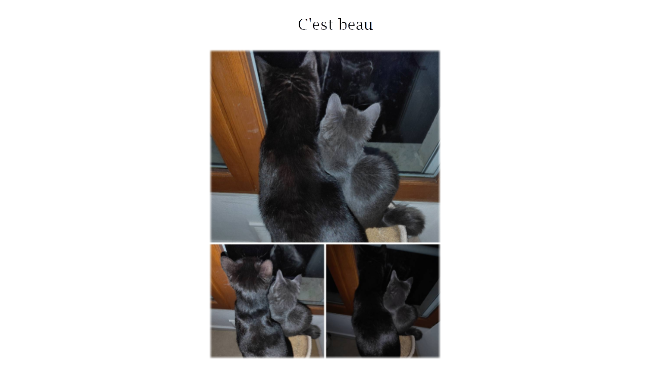 p-styletext-align-centerspan-styleletter-spacing