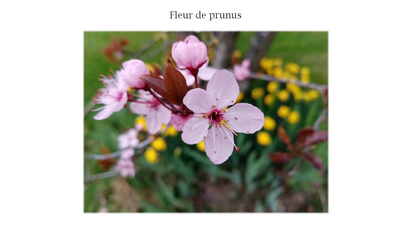 p-styletext-align-centerspan-styleletter-spacing-009pxstrongBonjour