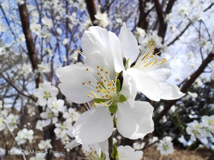 pBonjourppbrppJe-vous-propose-aujourdhui-plusieurs-photos-faites-avec