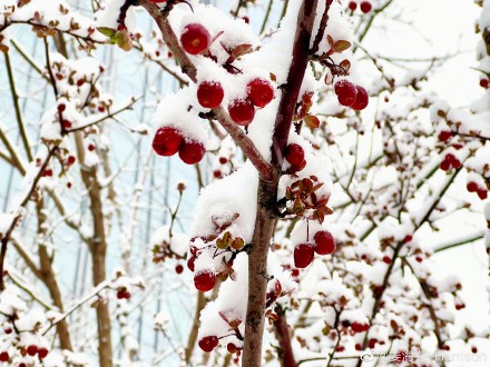 pBonjourppbrppJe-vous-propose-aujourdhui-plusieurs-photos-faites-avec
