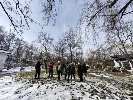 pBonjourppbrppJe-vous-propose-aujourdhui-plusieurs-photos-faites-avec