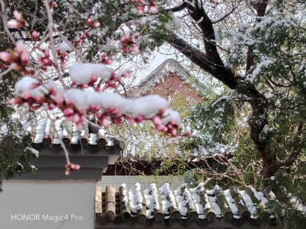 pBonjourppbrppJe-vous-propose-aujourdhui-plusieurs-photos-faites-avec