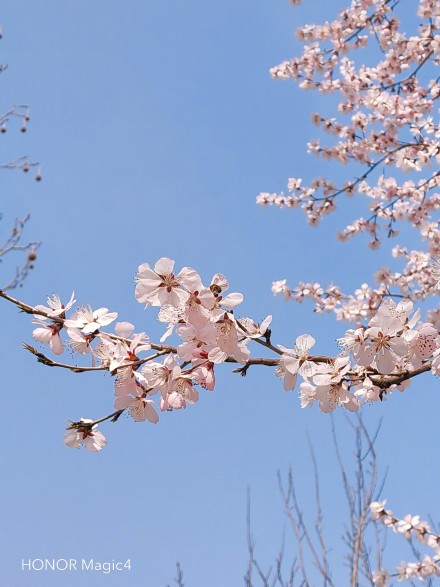 pBonjourppbrppJe-vous-propose-aujourdhui-plusieurs-photos-faites-avec