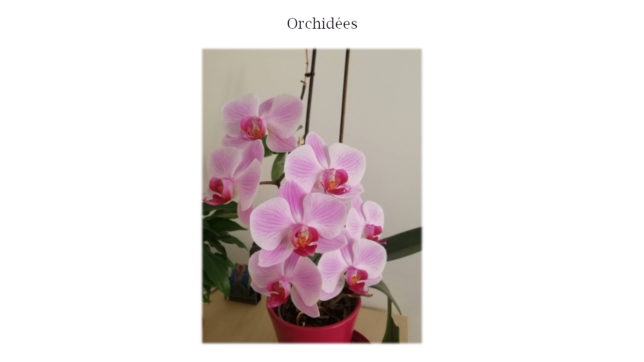 p-styletext-align-centerspan-styleletter-spacing-009pxstrongBonsoir