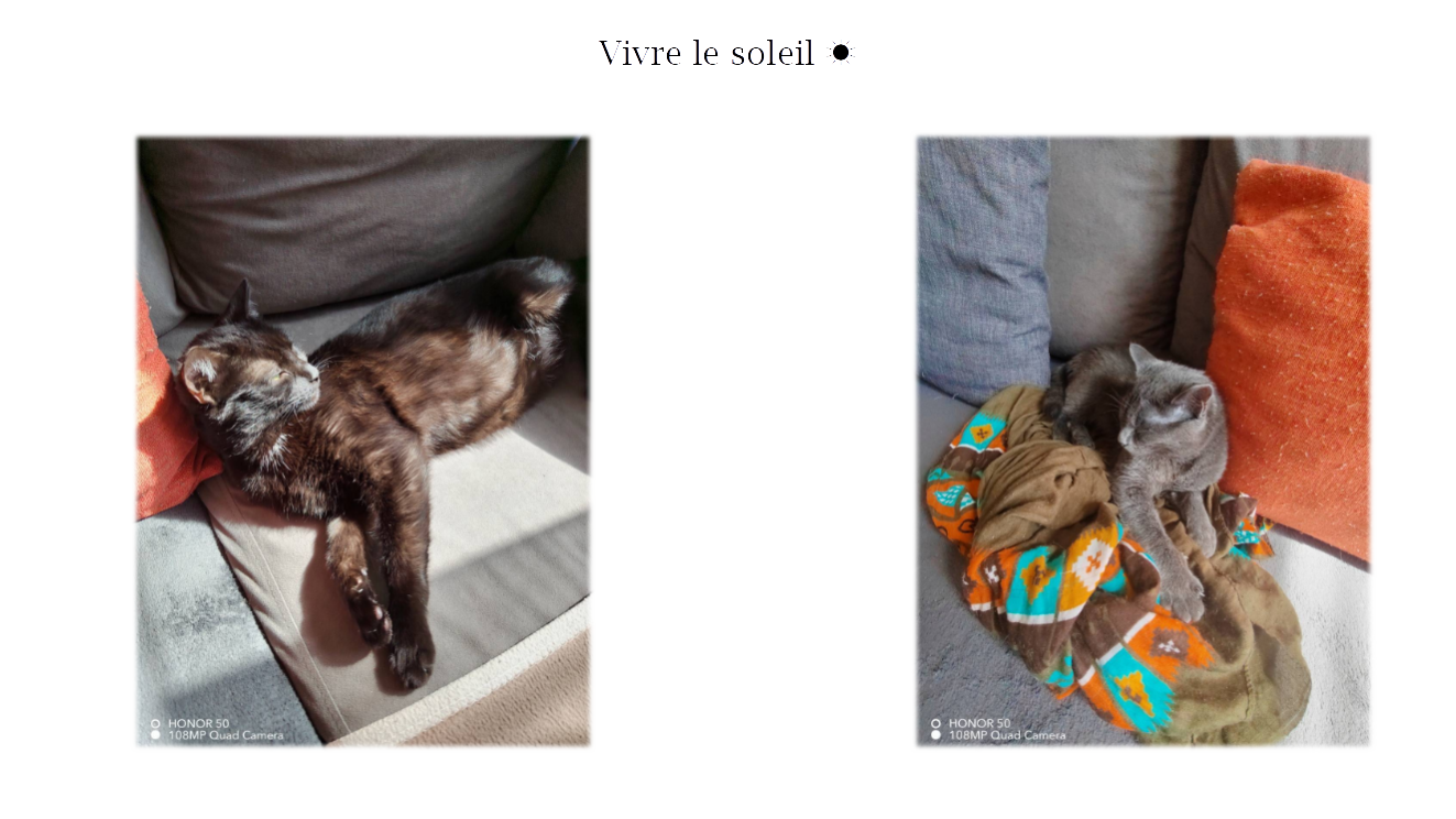 p-styletext-align-centerspan-styleletter-spacing-009pxstrongBonsoir