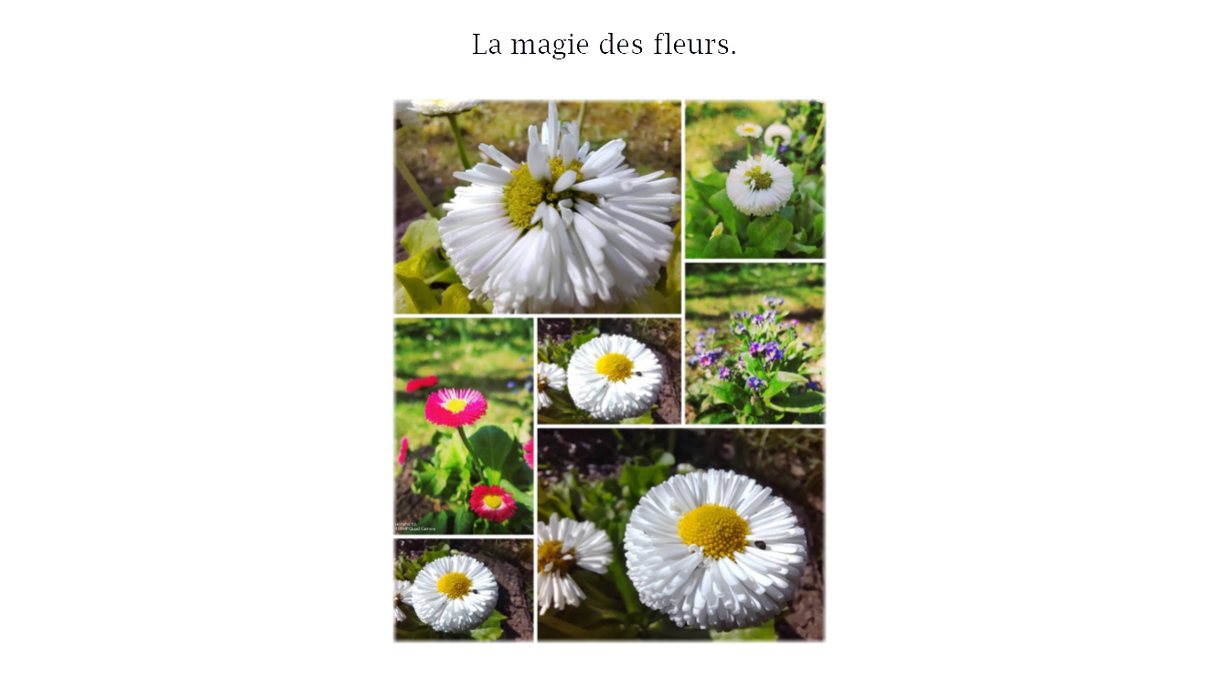 p-styletext-align-centerspan-styleletter-spacing-009pxstrongBonsoir