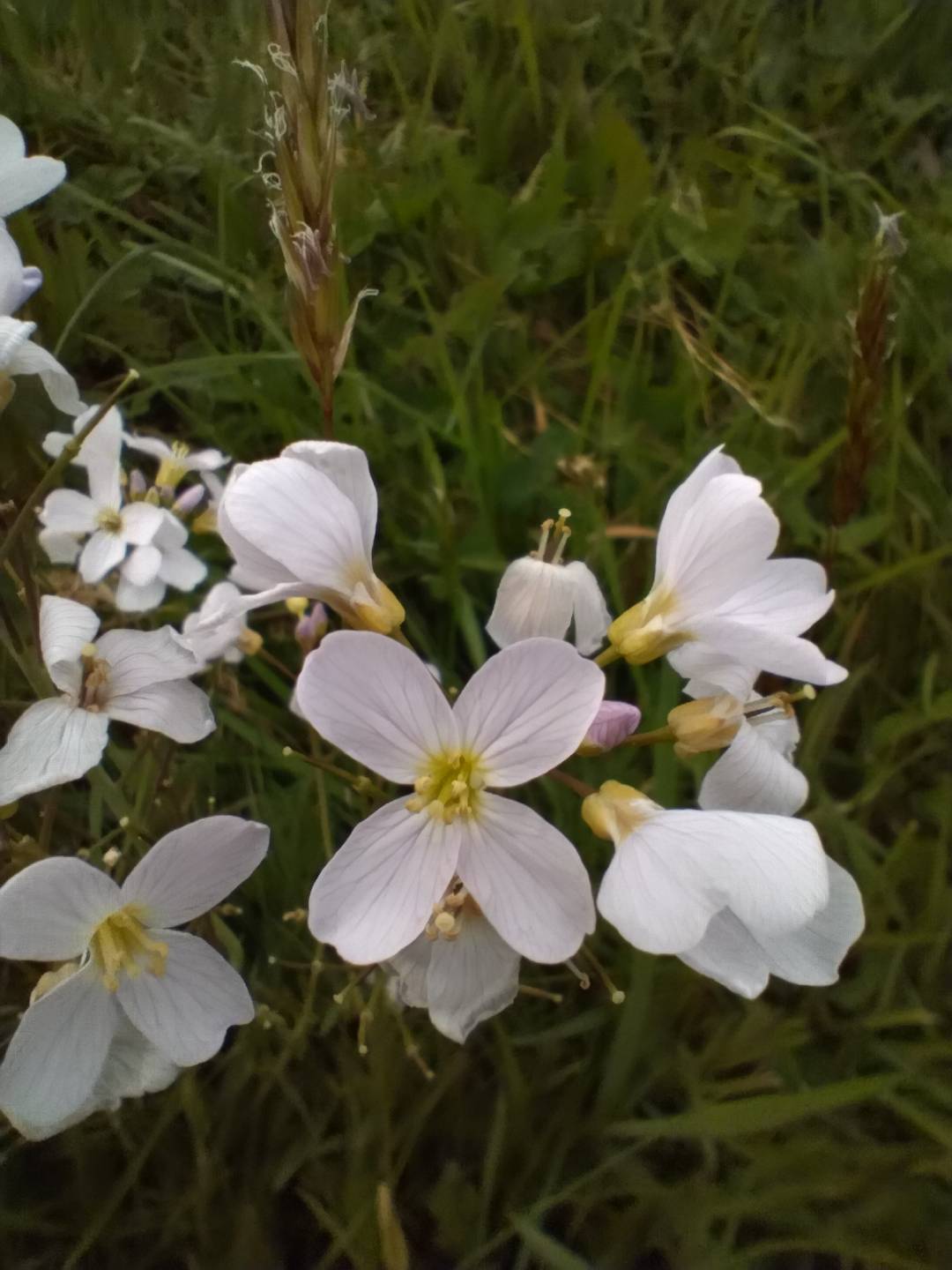 pspan-styleletter-spacing-009pxBonjourspanppbrppjai-la-chance-de