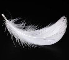 pspan-styleletter-spacing-009pxBonjour-à-tous-et-bienvenue-dans-ce