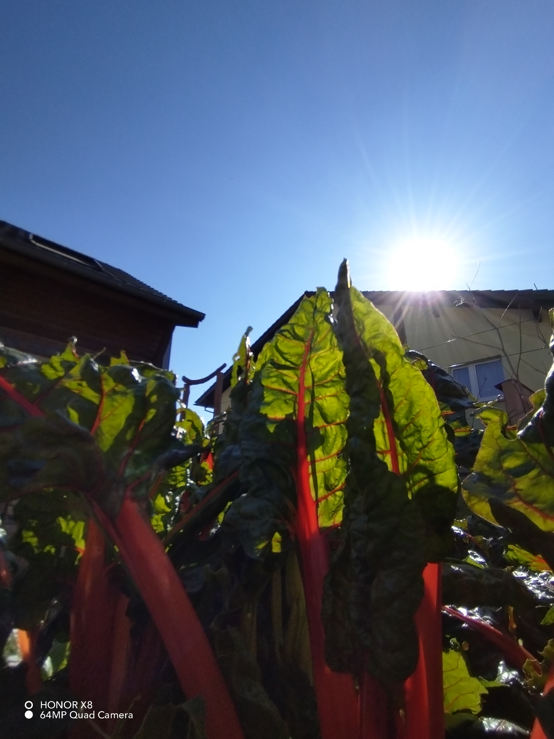 pspan-stylefont-size18pxBonjour-à-tous-les-fans