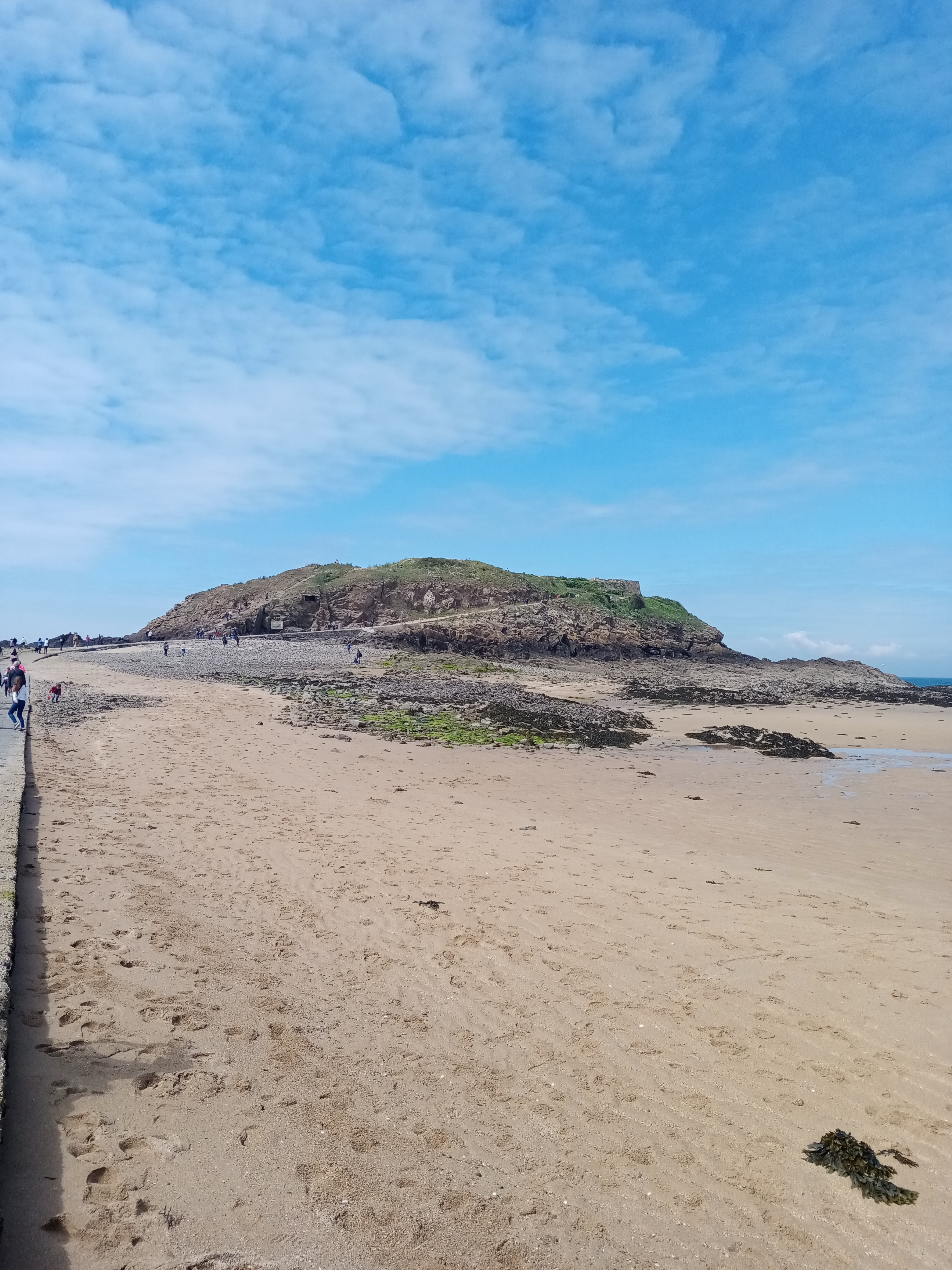 pBonjourppbrppJe-vous-propose-un-petit-comparatif-photo-entre-le-Honor