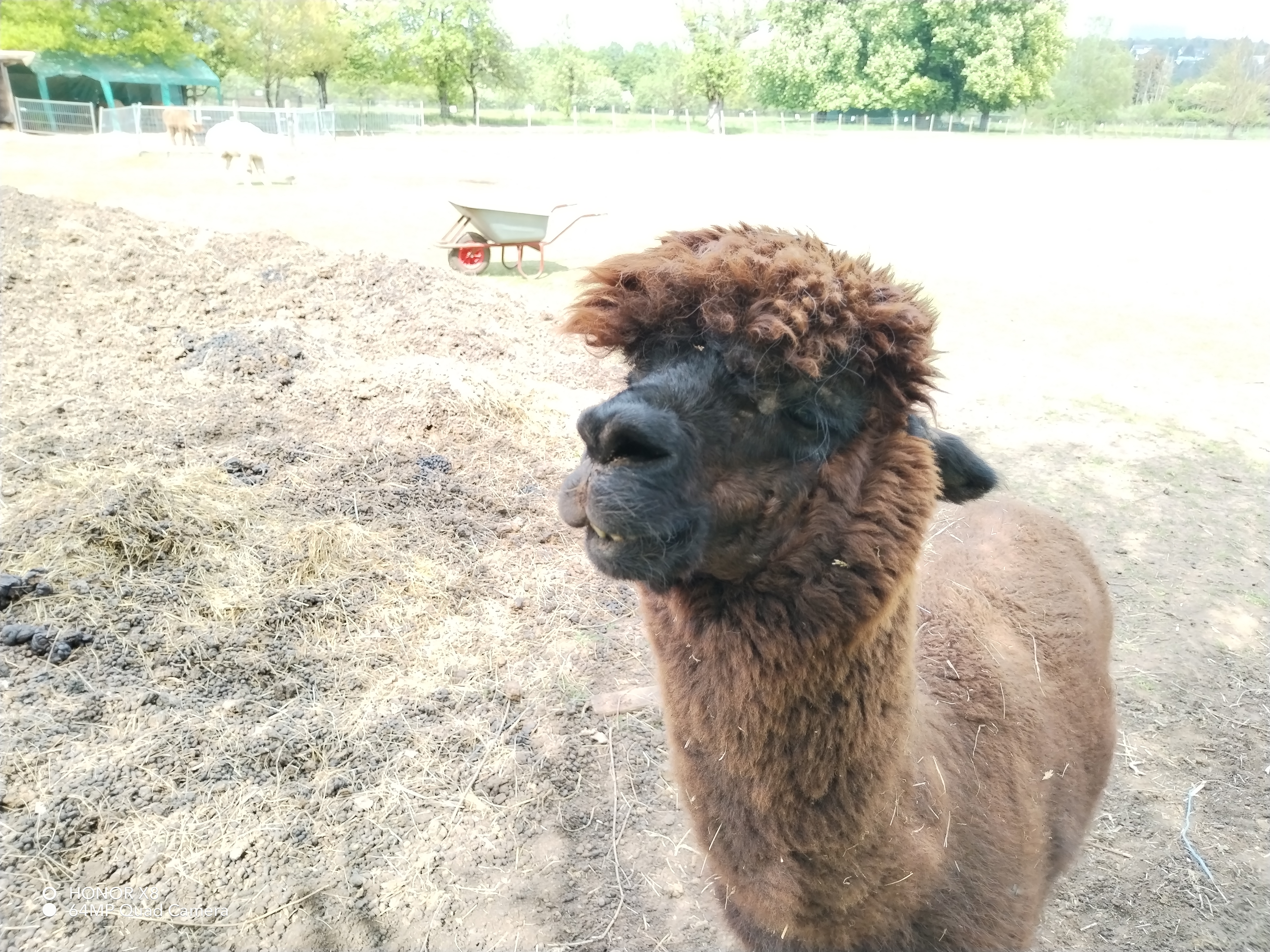 pspan-stylefont-size18pxBonjour-à-tous-les-fans