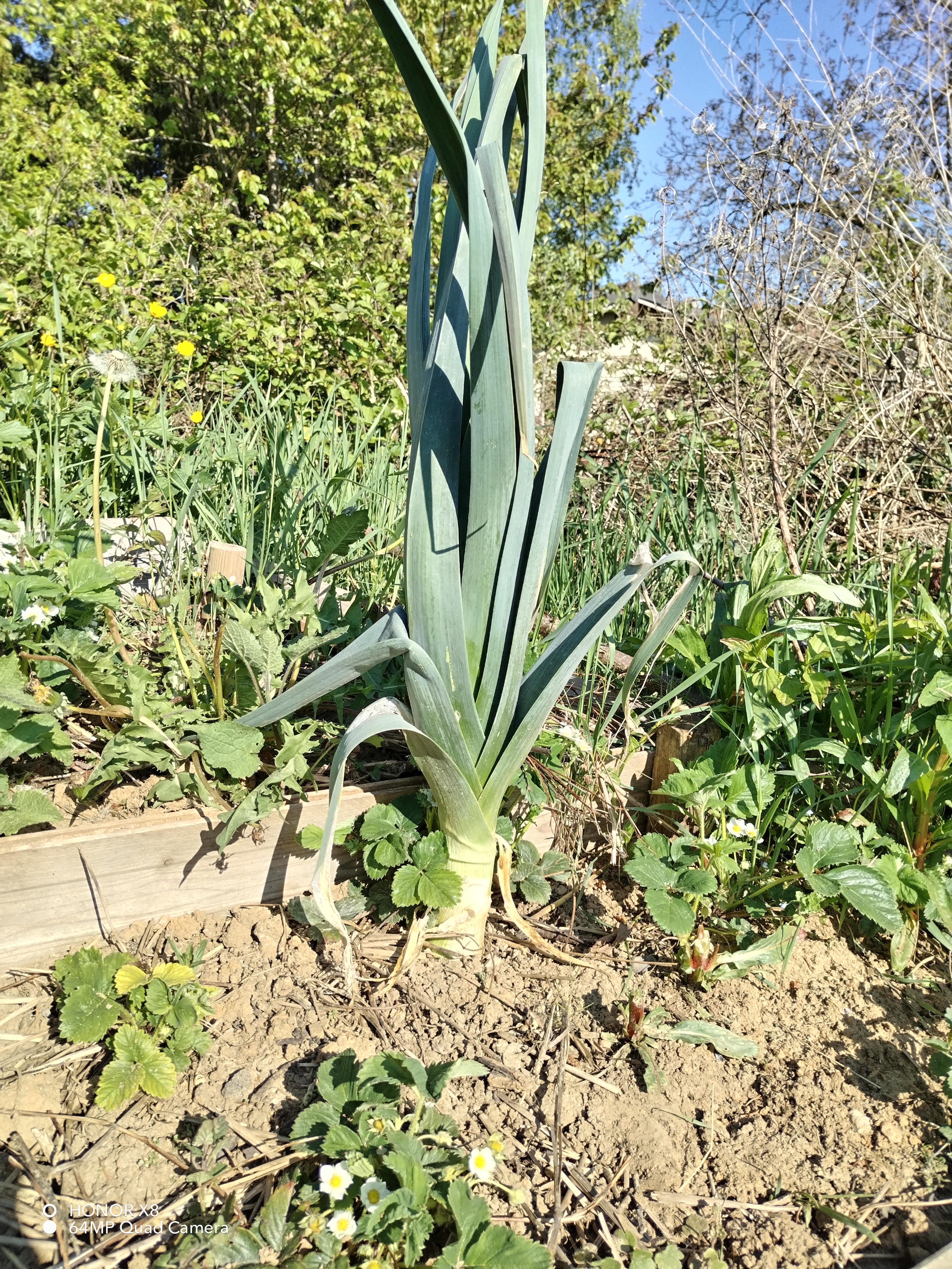 pspan-stylefont-size18pxBonjour-à-tous-les-fans