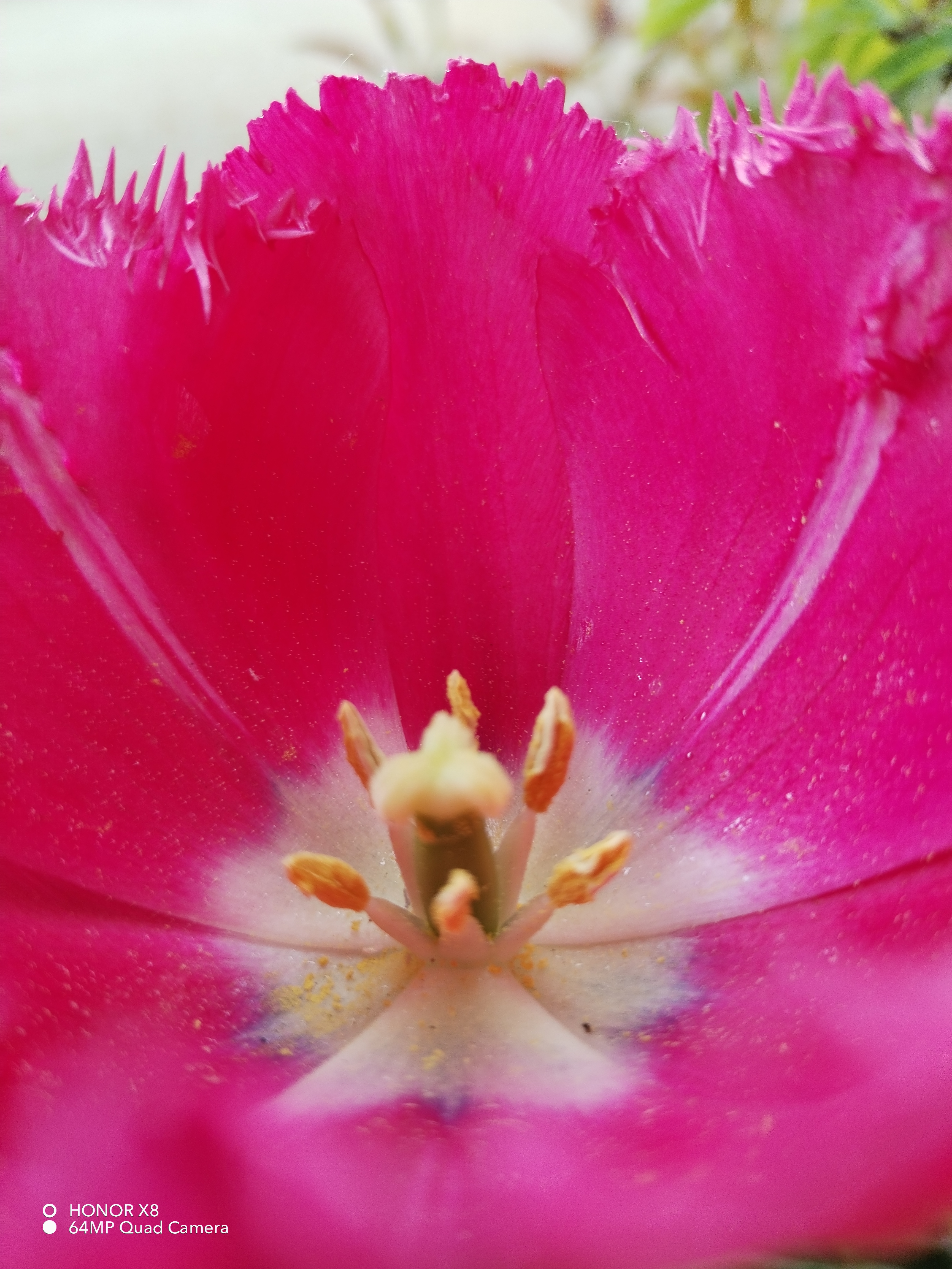 pspan-stylefont-size18pxBonjour-à-tous-les-fans