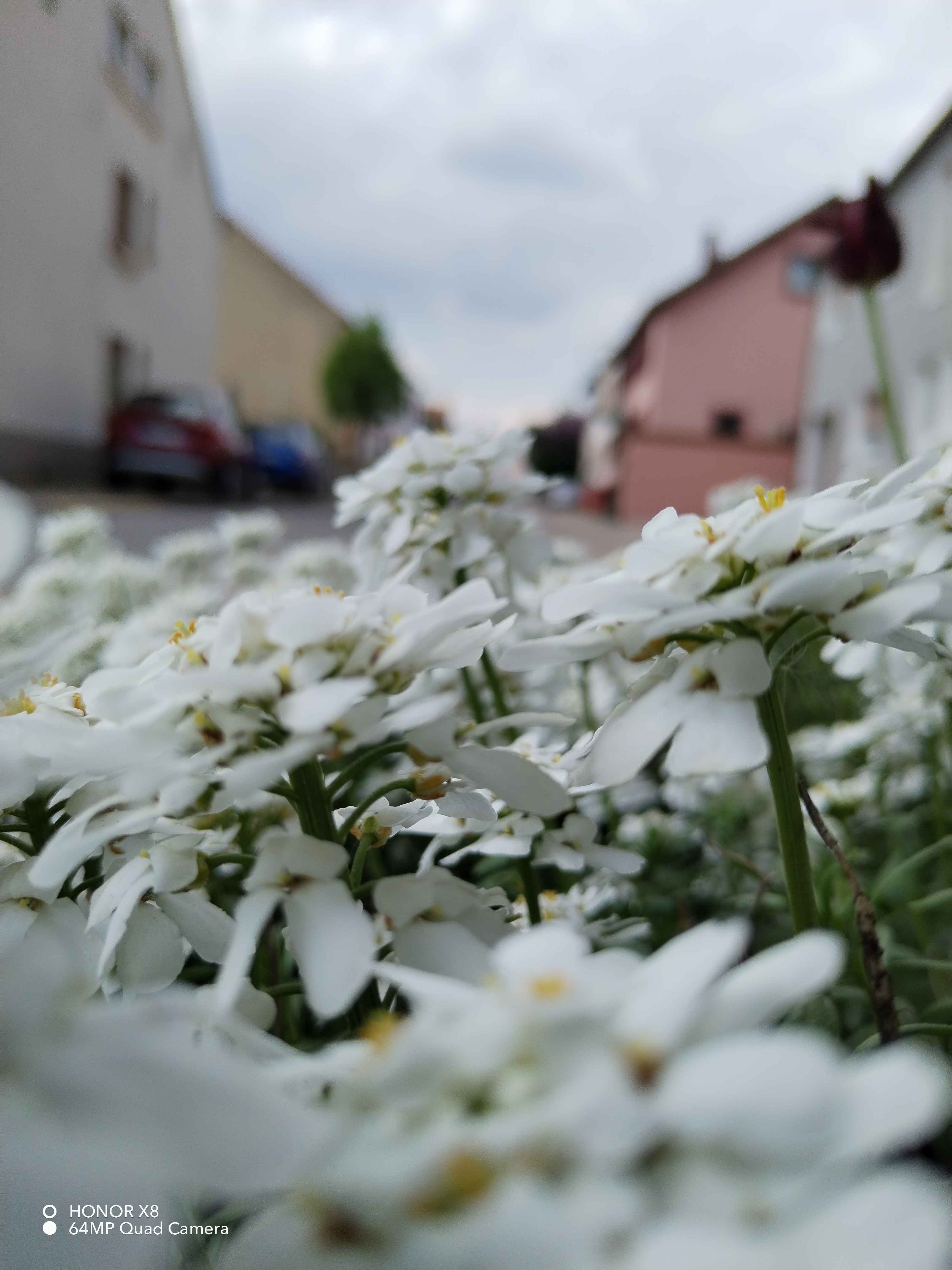 pspan-stylefont-size18pxBonjour-à-tous-les-fans