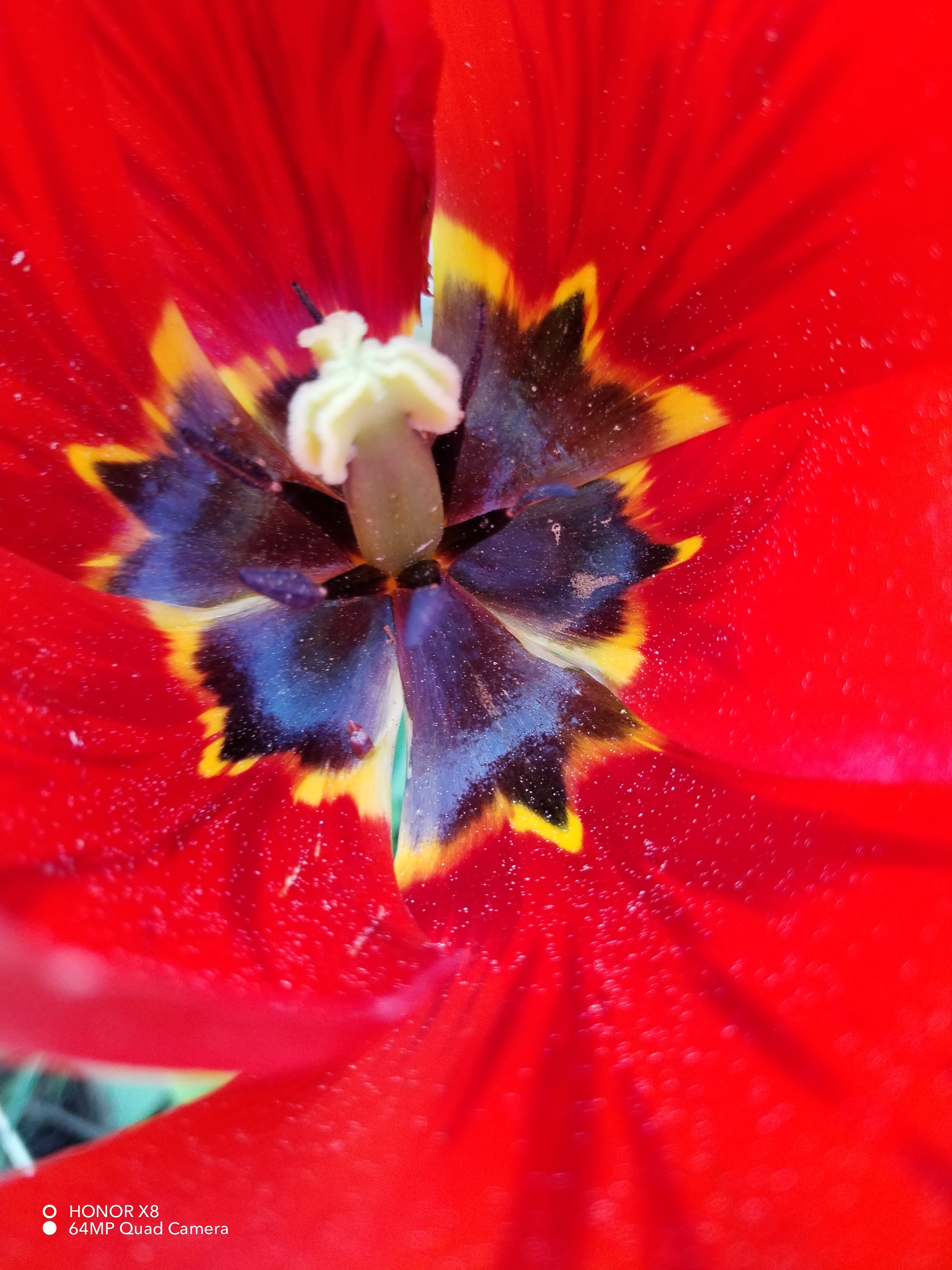 pspan-stylefont-size18pxBonjour-à-tous-les-fans