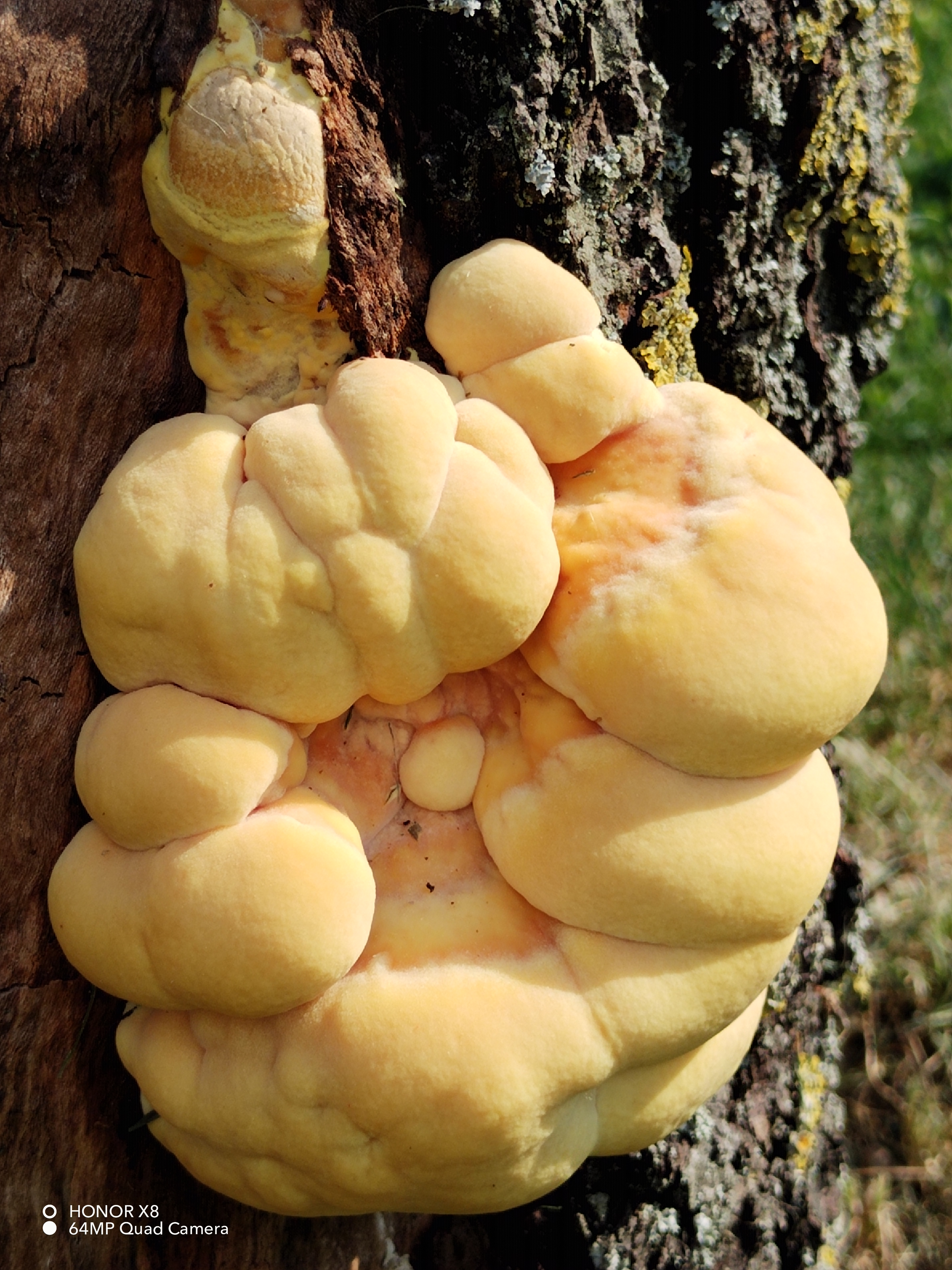 pspan-stylefont-size18pxBonjour-à-tous-les-fans