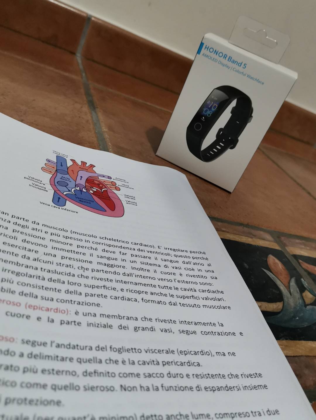 Honor Band 5 x Frequenza cardiaca | HONOR CLUB (IT)