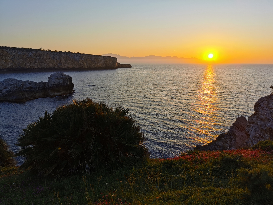 pimg-srchttpsiforum-dechihonorcomitdataimages100002022101879034c9d