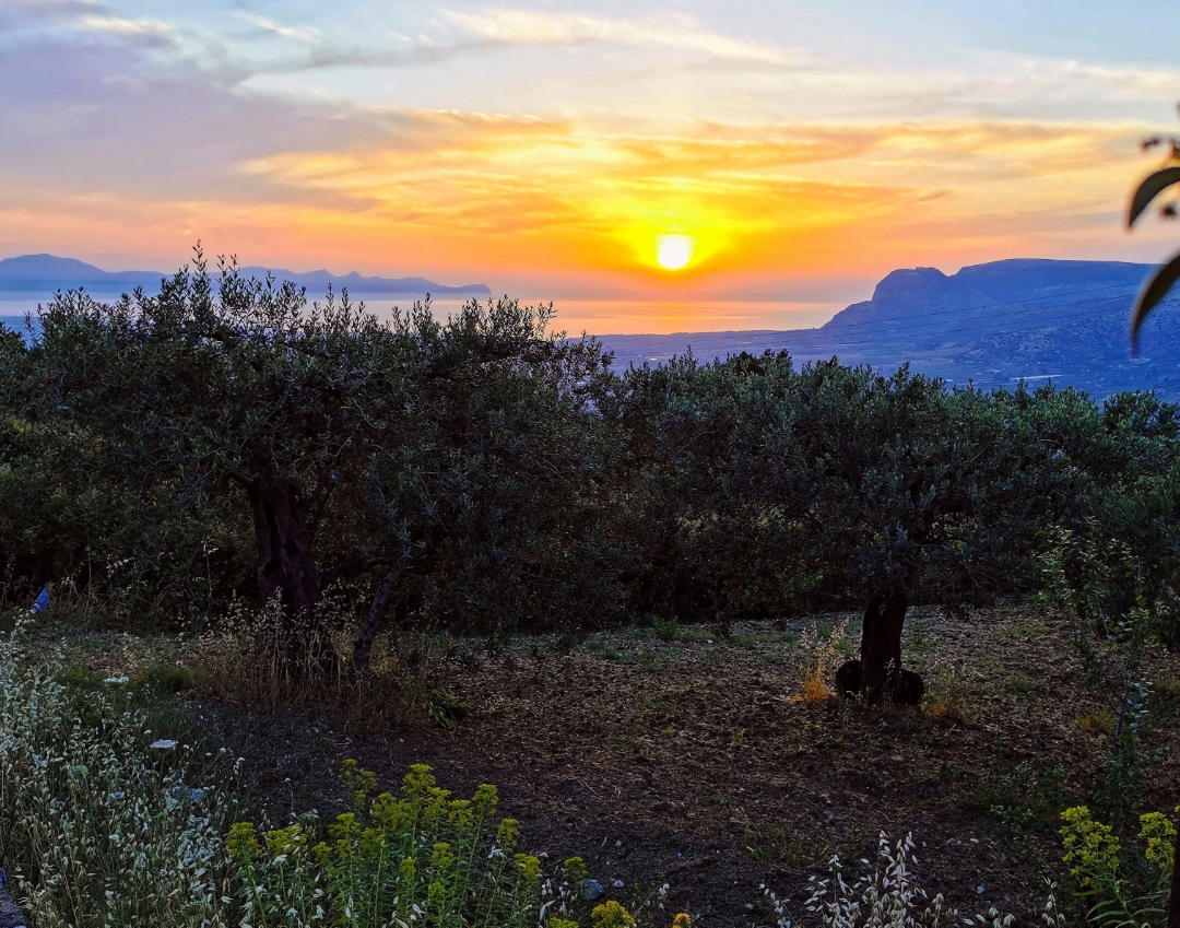 pimg-srchttpsiforum-dechihonorcomitdataimages100002022102216214e6b