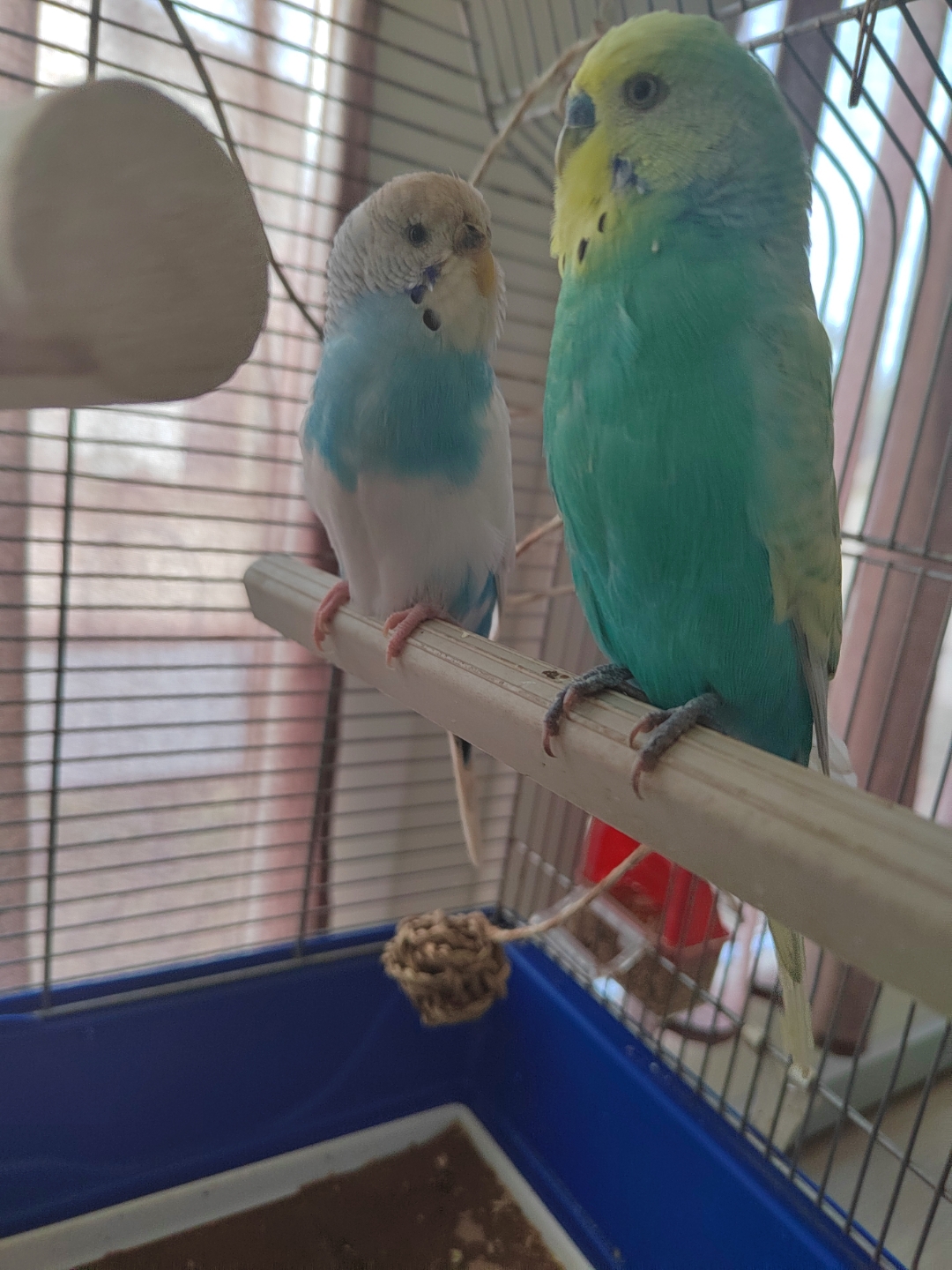 pimg-srchttpsiforum-dechihonorcomitdataimages1000020221023771c7774