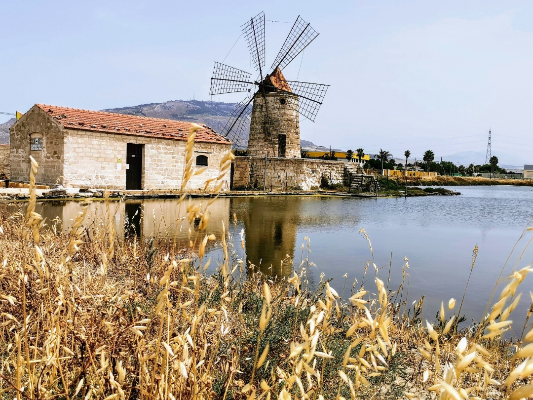 pimg-srchttpsiforum-dechihonorcomitdataimages10000202210252fd8b76a