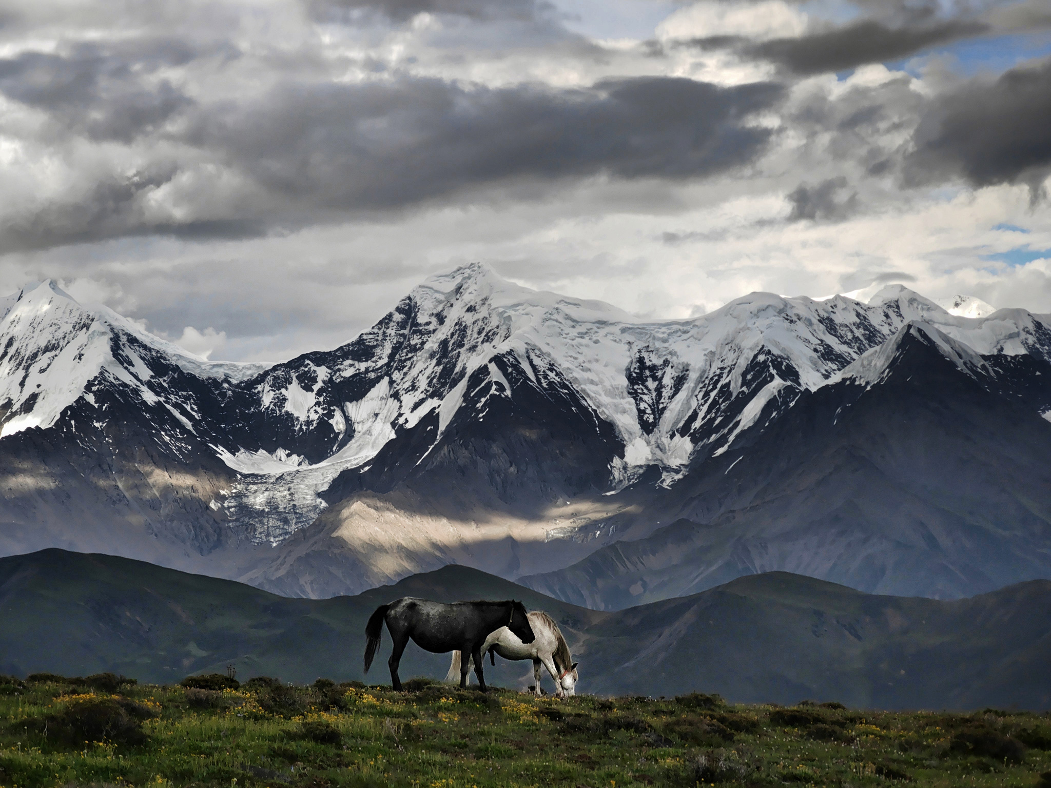 pspan-stylefont-size18pxIl-26-ottobre-lemstrongHONOR-Mobile-Imaging