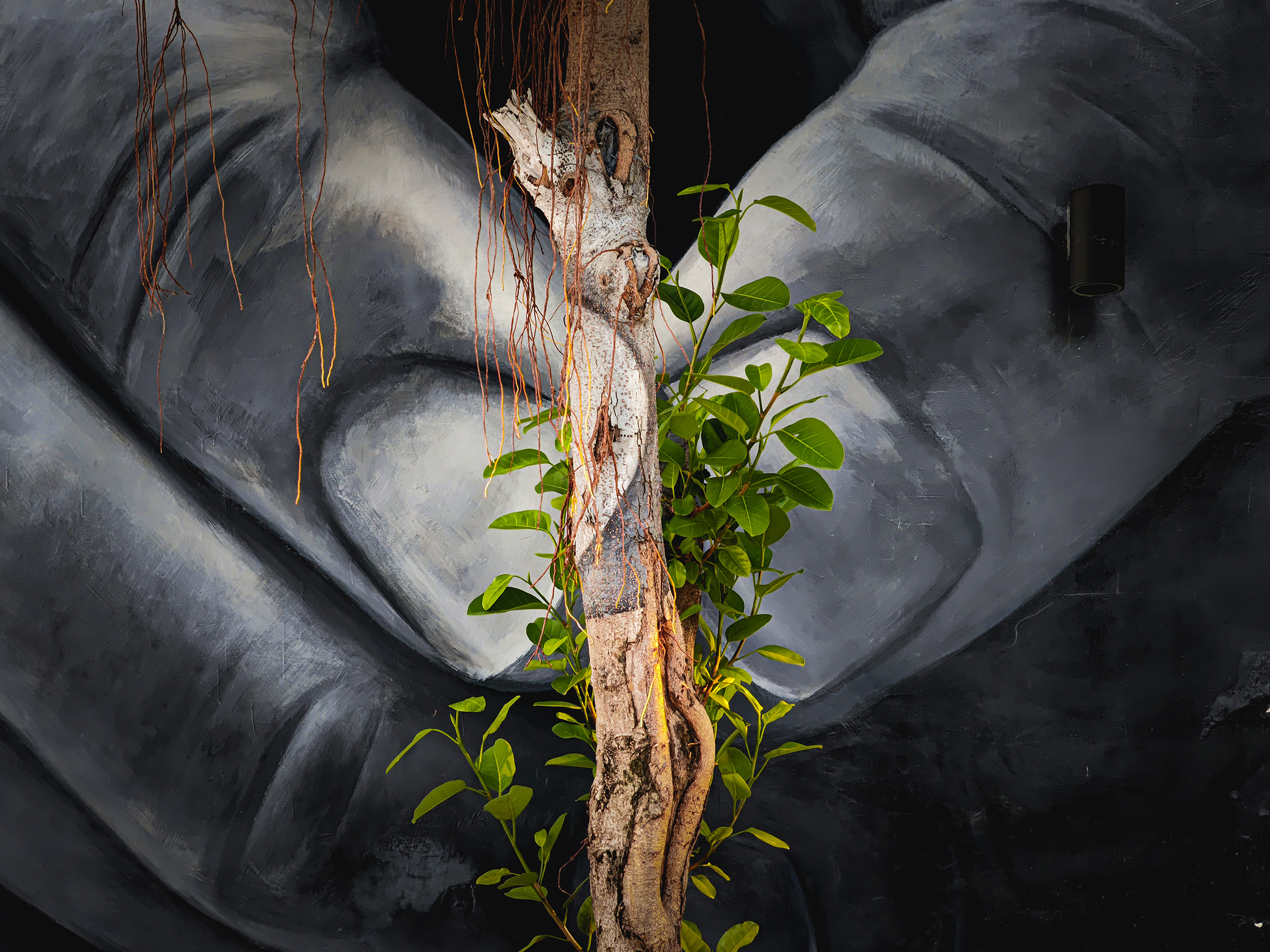 pspan-stylefont-size18pxIl-26-ottobre-lemstrongHONOR-Mobile-Imaging