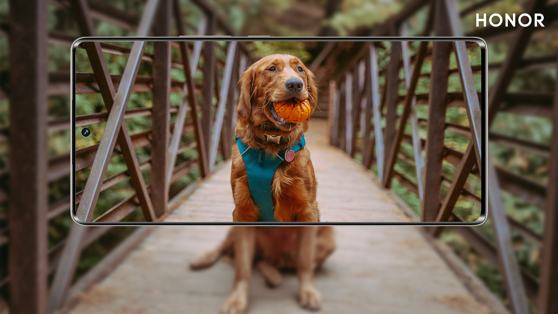 p-styletext-align-centerspan-stylefont-size24pxCiao-Honor-Fansspanpp