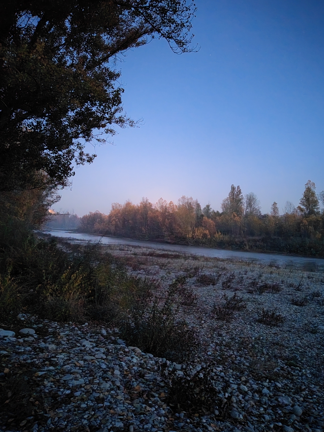 pimg-srchttpsiforum-dechihonorcomitdataimages1000020221121f85f7842