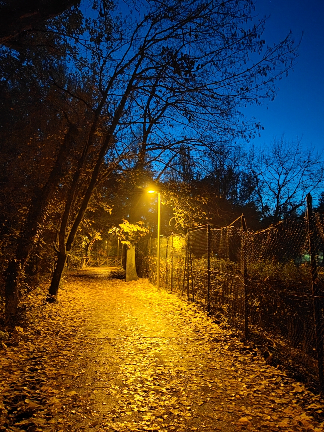 pimg-srchttpsiforum-dechihonorcomitdataimages1000020221121f85f7842