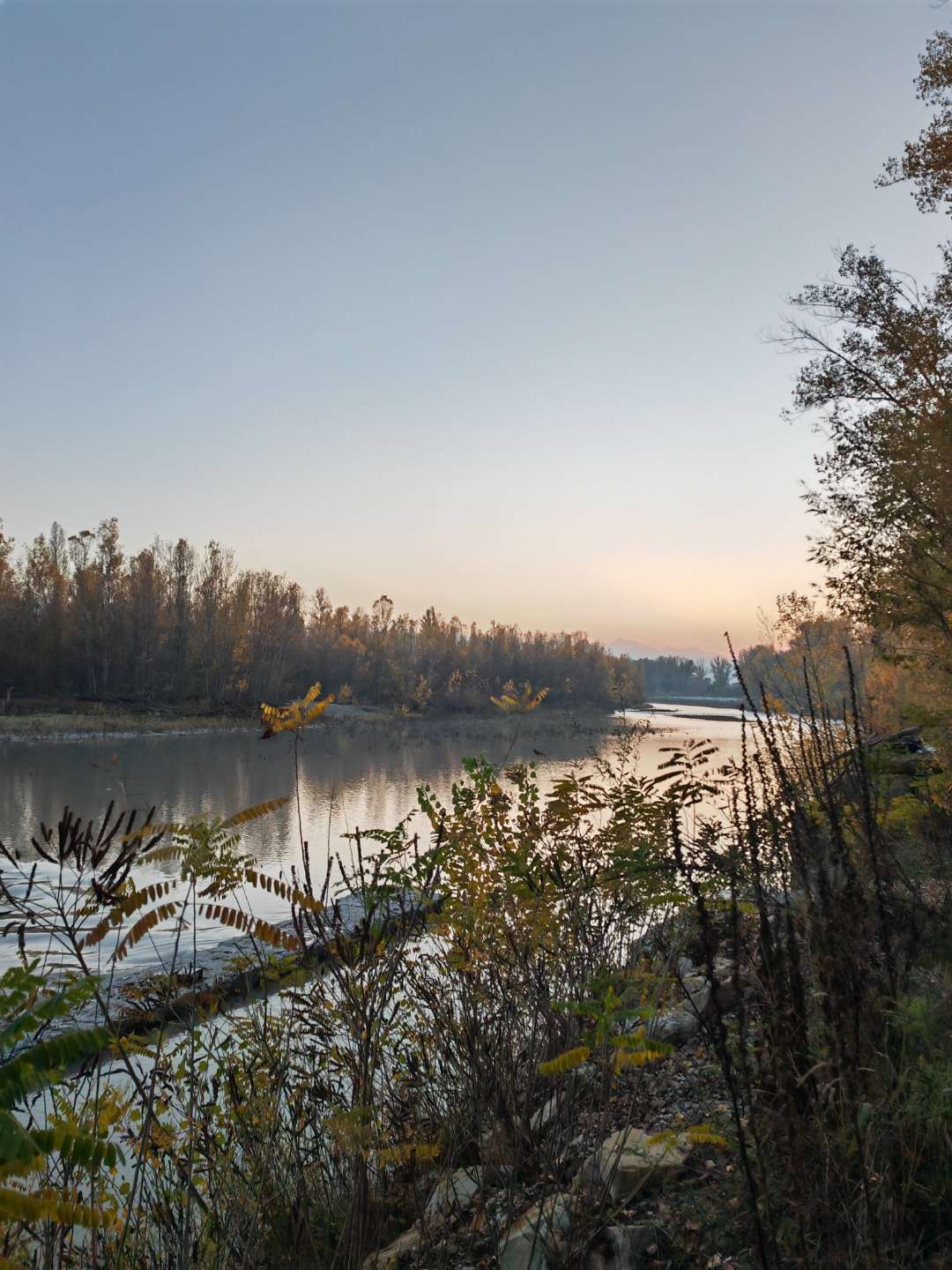 pimg-srchttpsiforum-dechihonorcomitdataimages1000020221121f85f7842