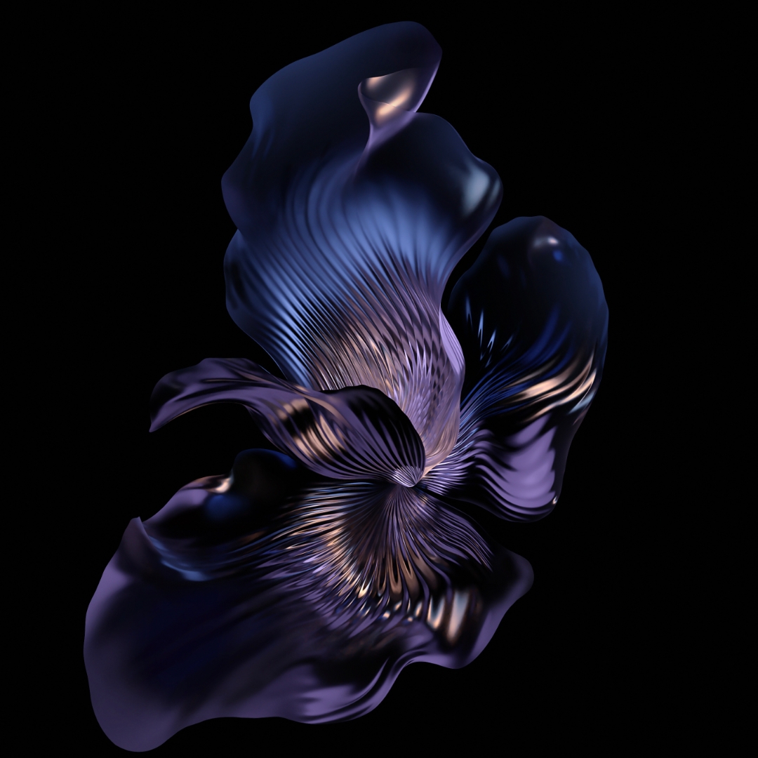 pVolendo-anche-per-HONOR-70ppimg-srchttpsiforum