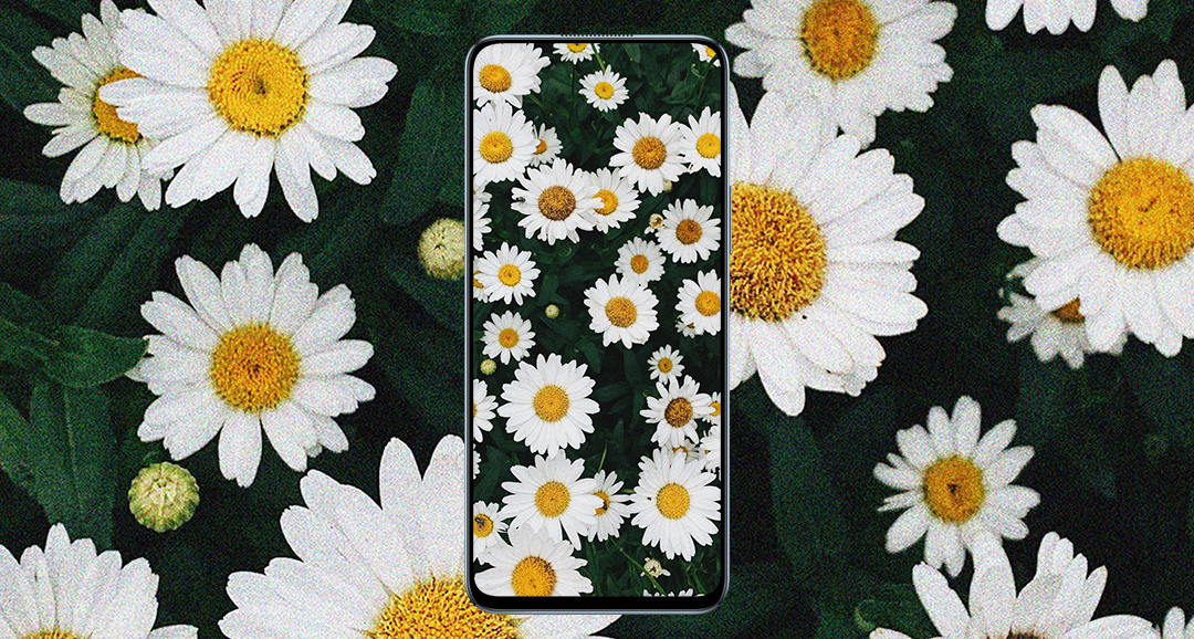 p-styletext-align-centerbrpp-styletext-align-centerBuon-Venerdi