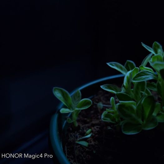 pbrppimg-srchttpsiforum-dechihonorcomitdataimages10000202265d6d8ba98