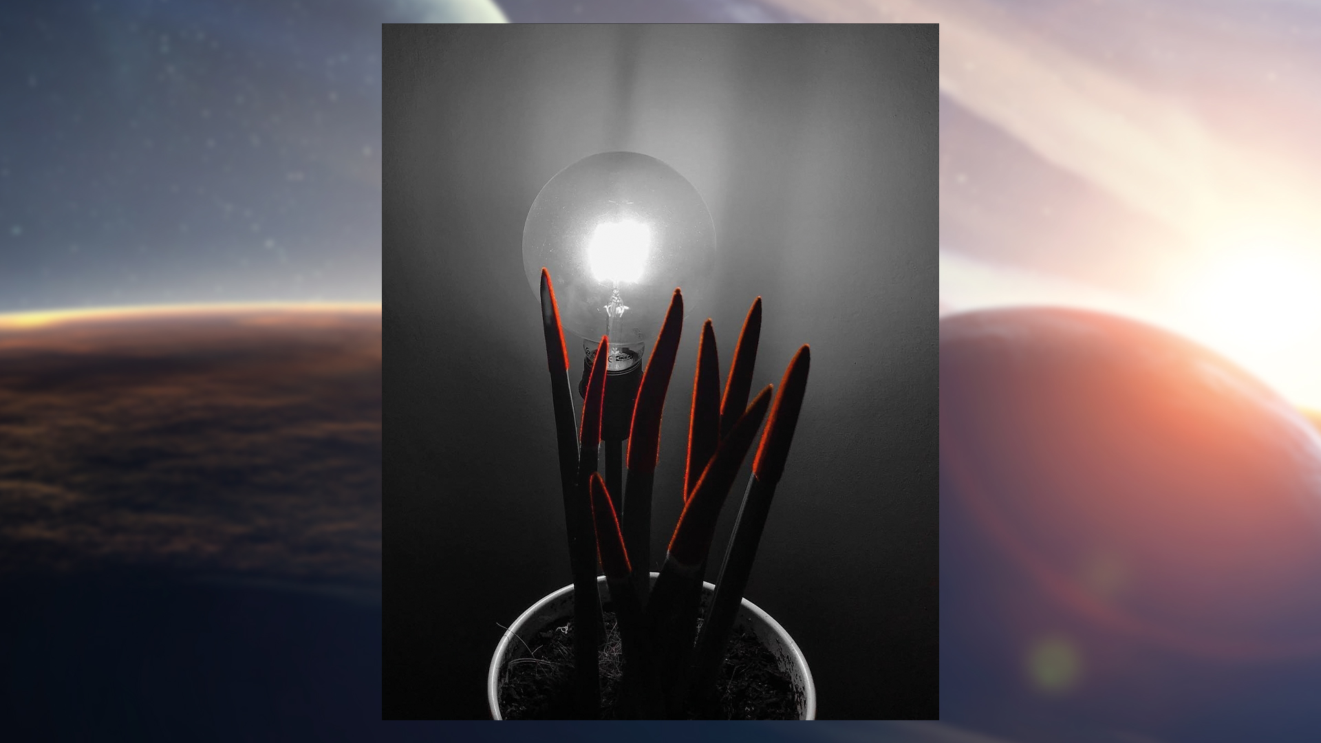 p-styletext-align-centerspan-stylefont-size24pxCiao-HONOR-Fansspanpp